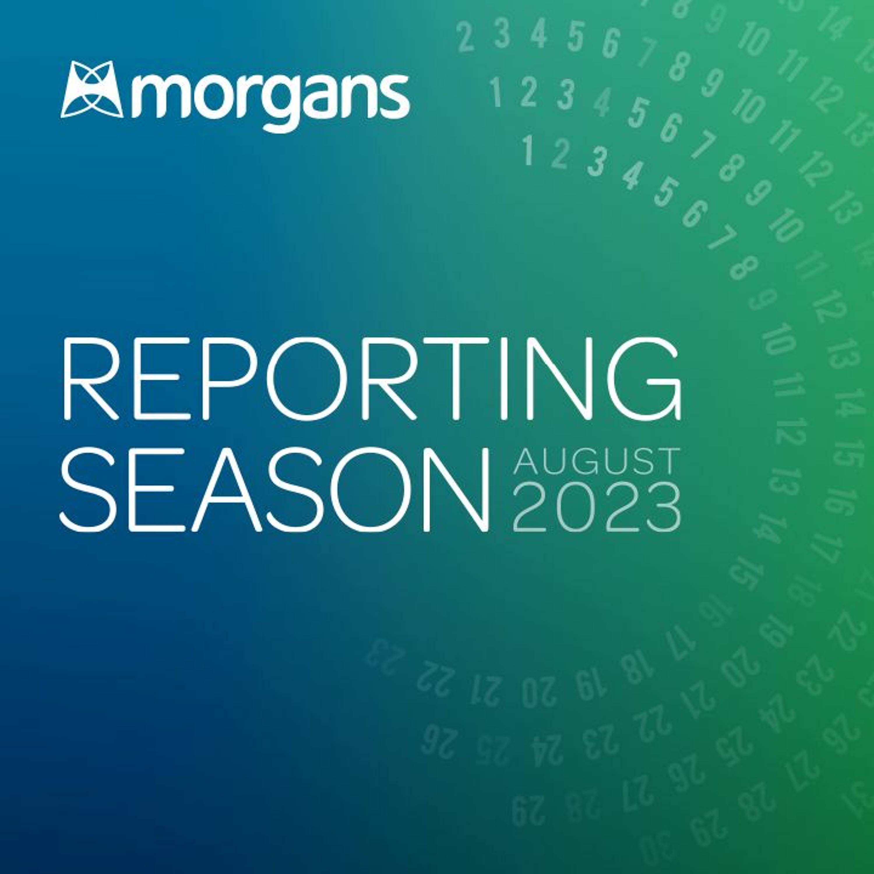 ⁣Retail Sector Wrap: Reporting Season, August 2023