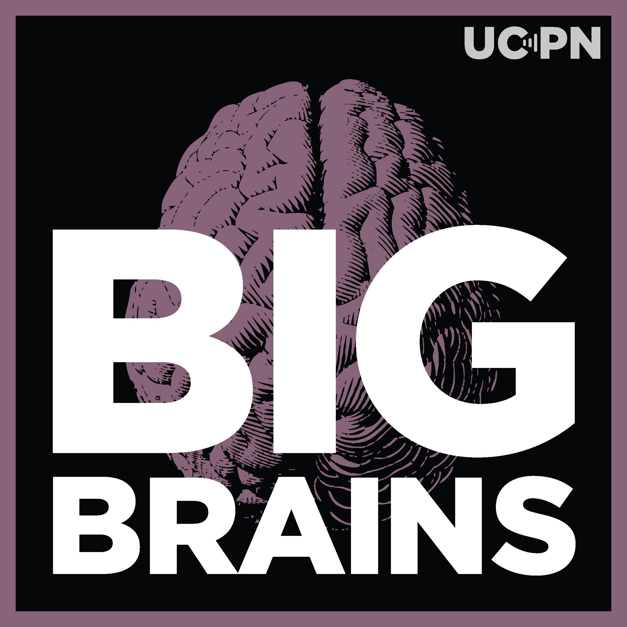 ⁣Defending Campus Free Speech In A Polarized Age, with Paul Alivisatos and Tom Ginsburg