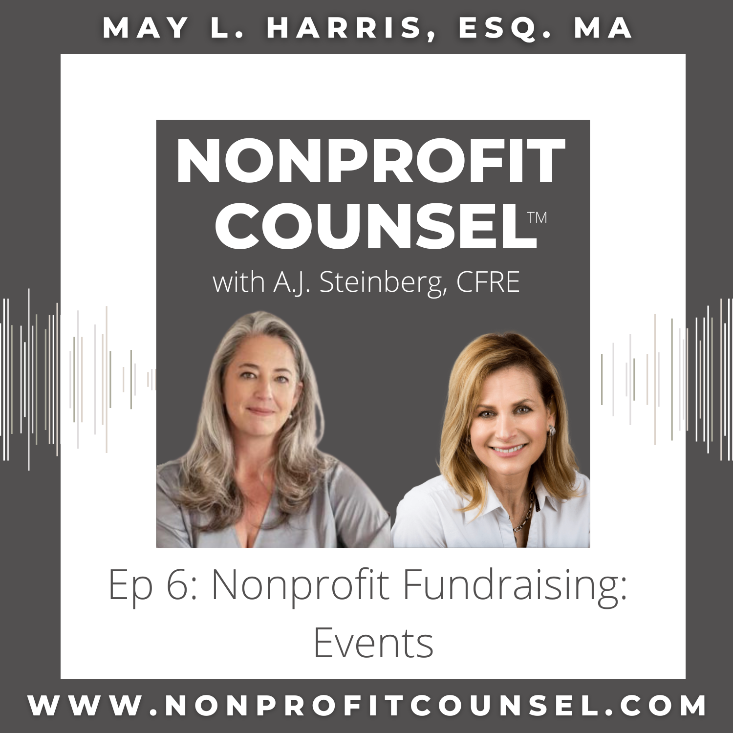 Ep. 6 - Nonprofit Fundraising: Events