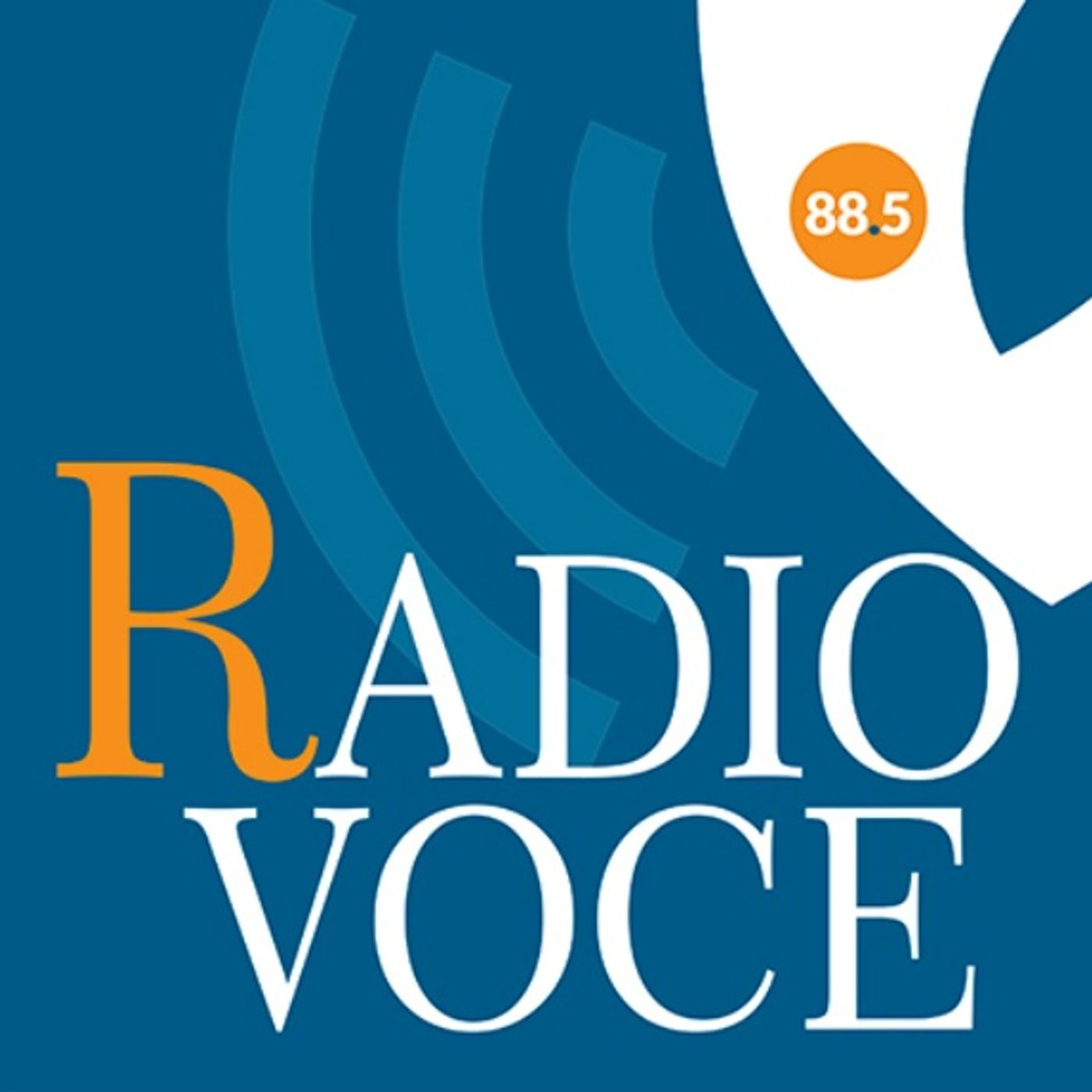 Dentro la Notizia - Radio Voce Racconta 