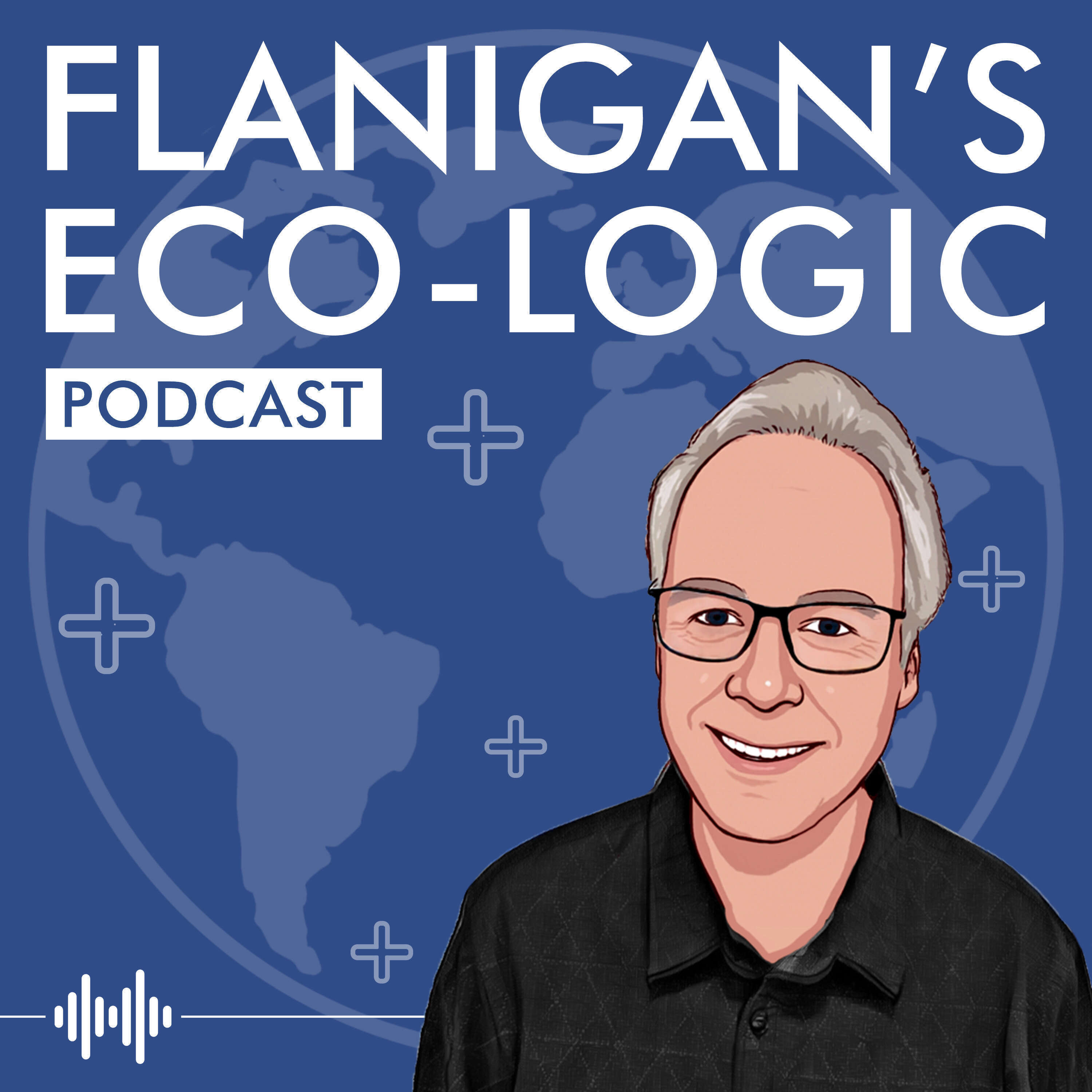 Flanigan's Eco-Logic 