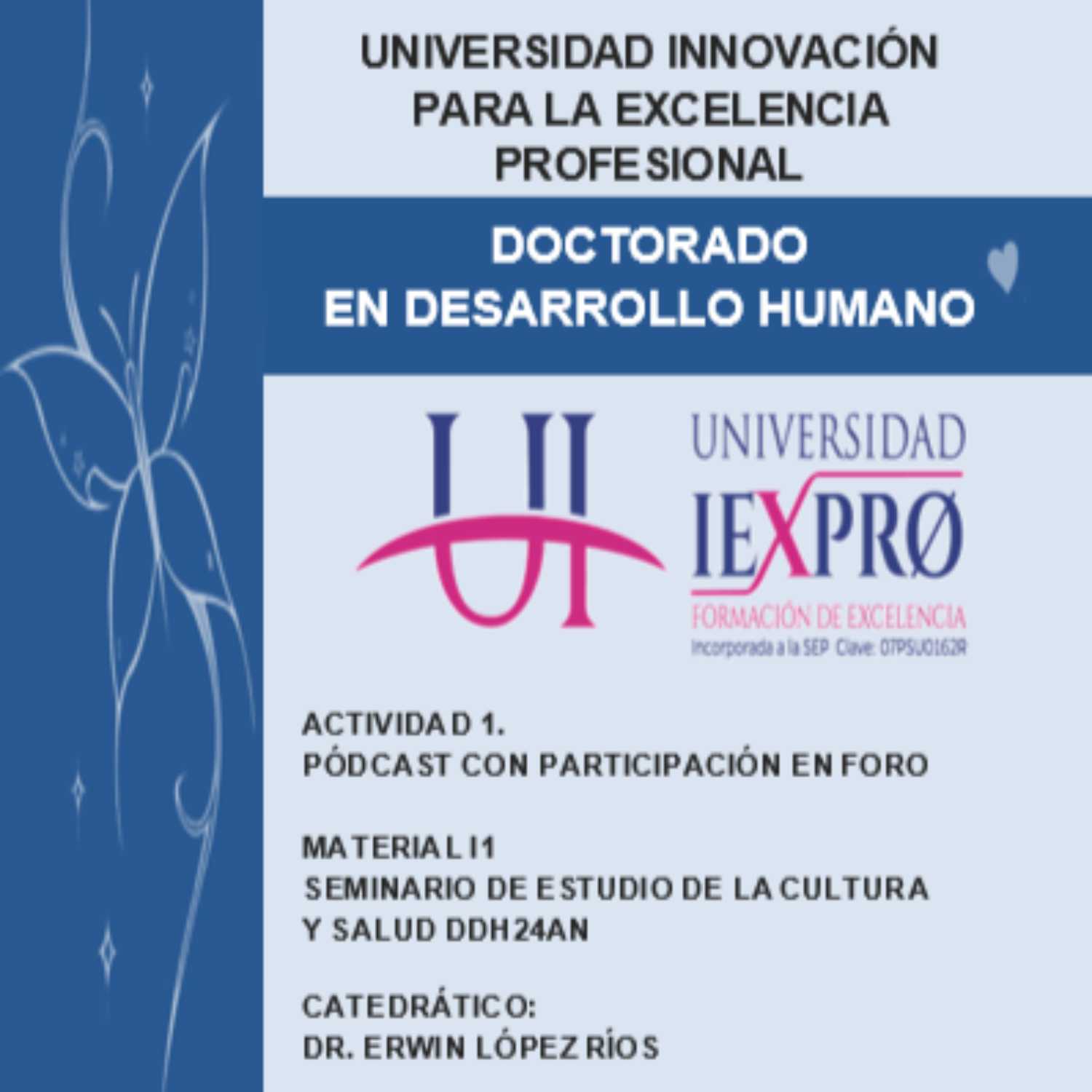 Seminario de Estudio de la Cultura y salud DDH24AN 