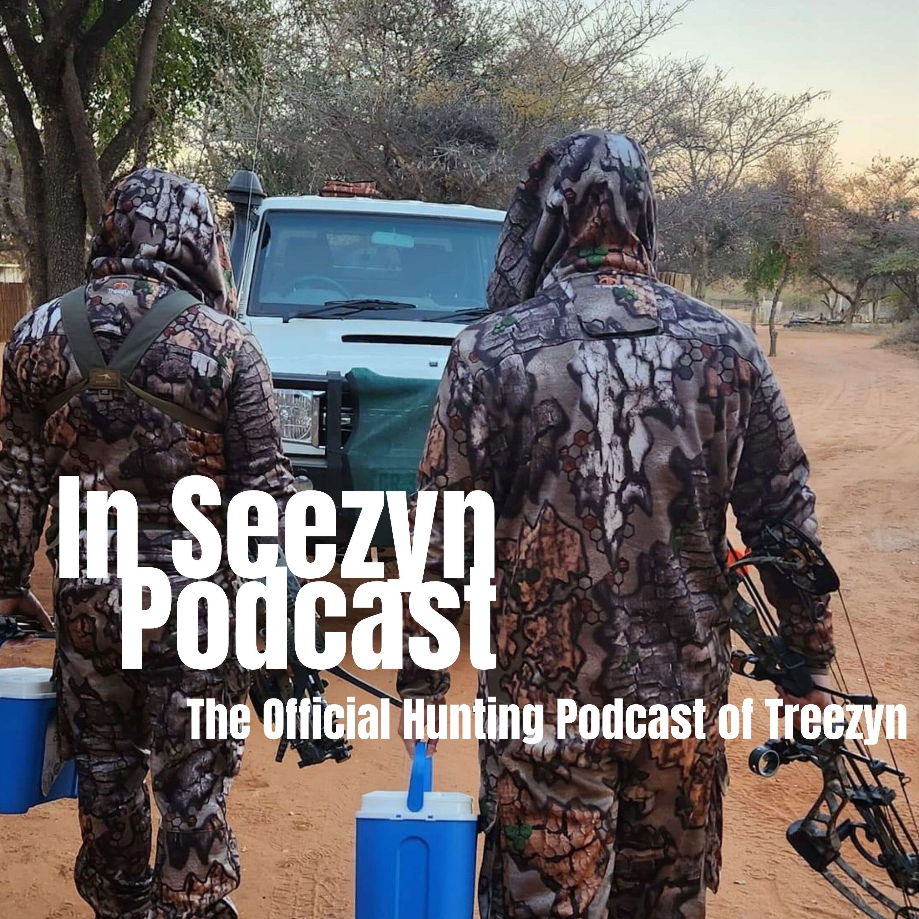 In Seezyn Podcast 