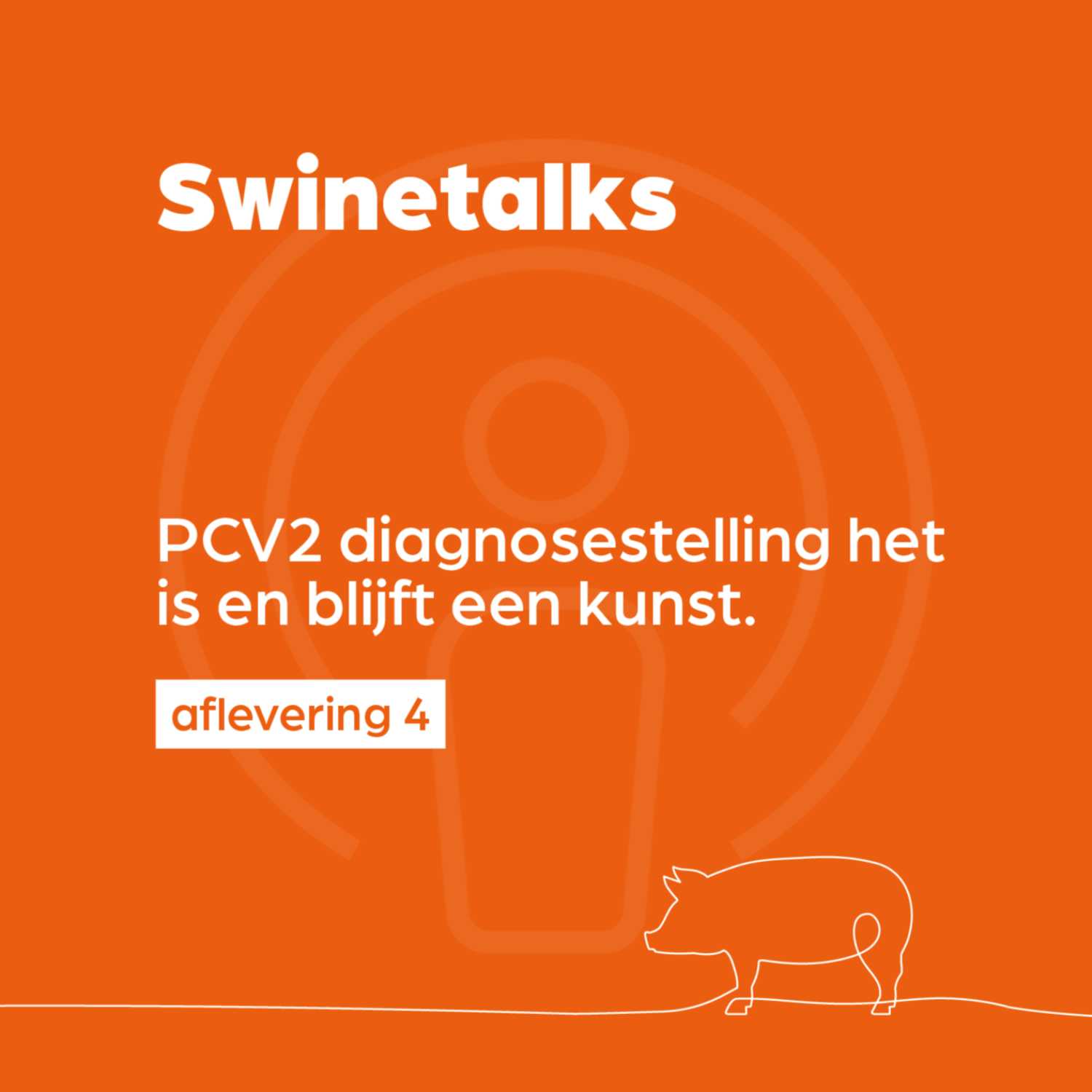 ⁣Swinetalks — 004 — PCV2 diagnosestelling het is en blijft een kunst