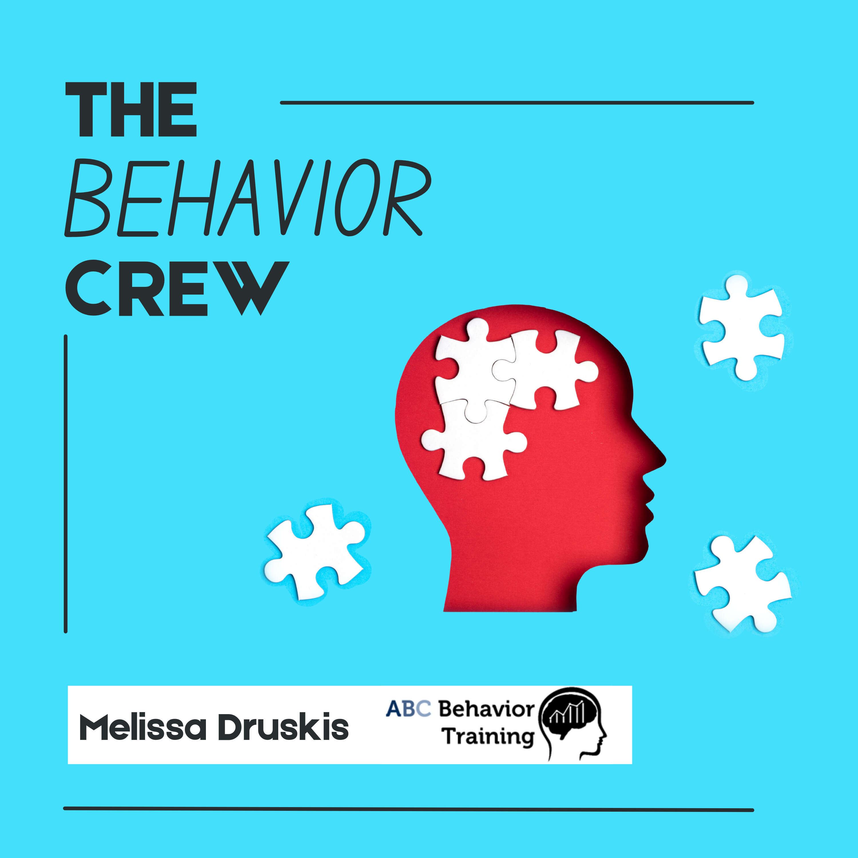 The Behavior Crew 