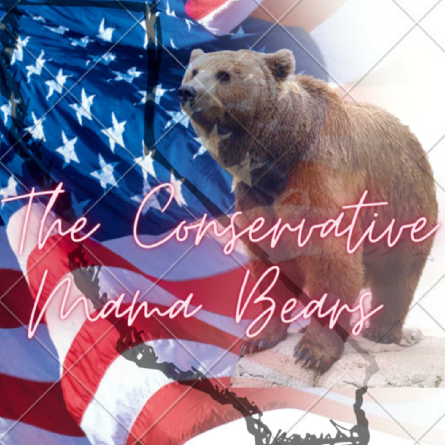 The Conservative Mama Bears 