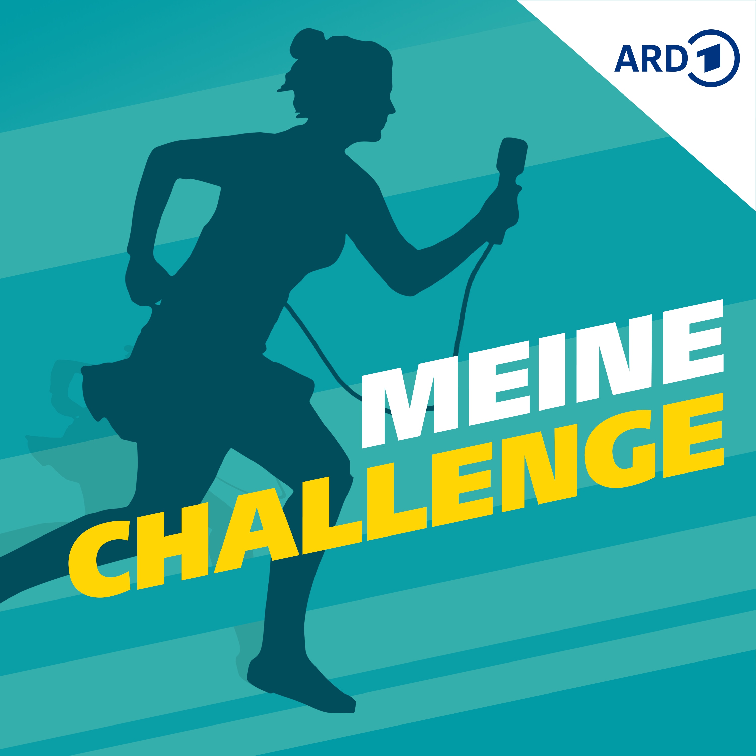 Meine Challenge 