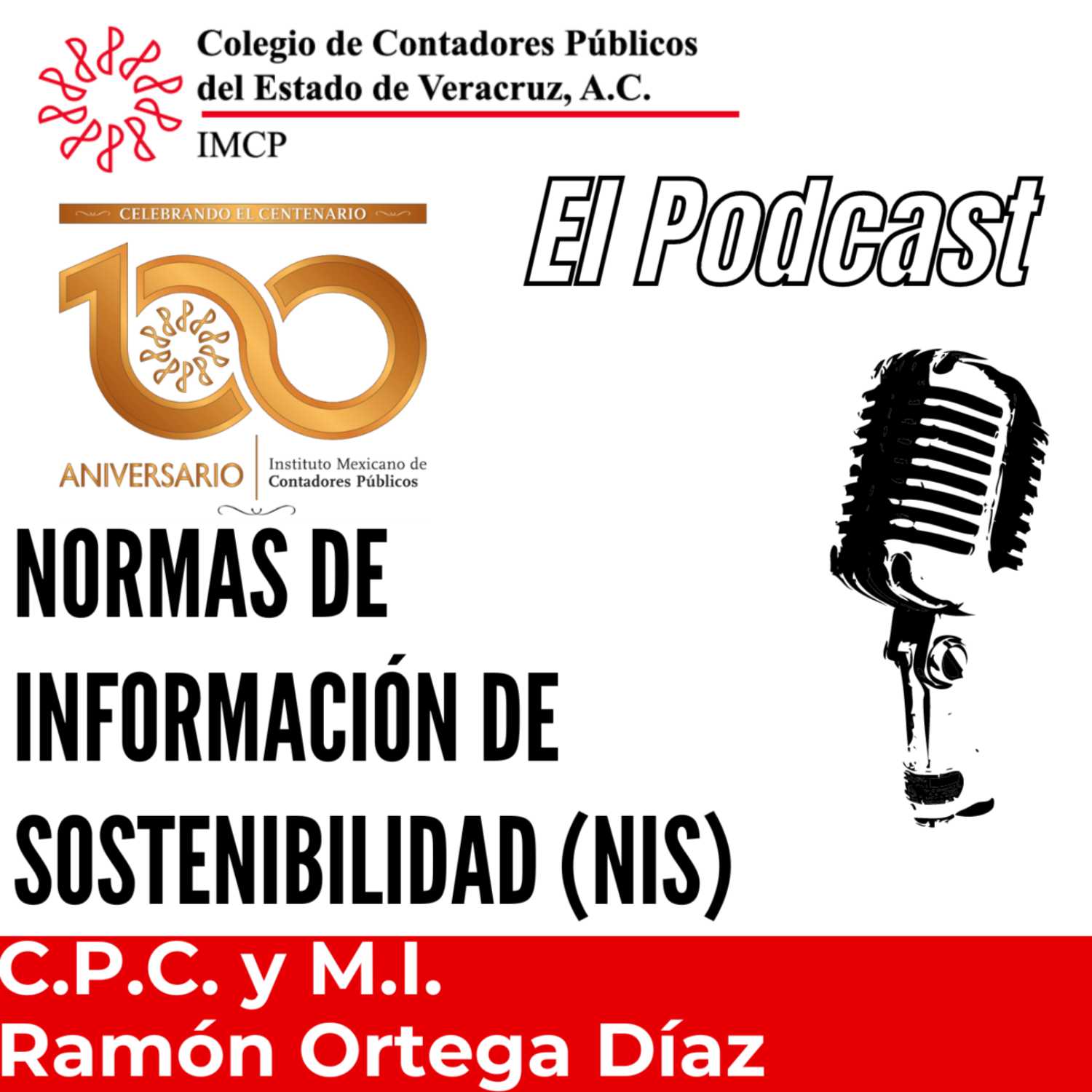 Normas de información de Sostenibilidad (NIS)