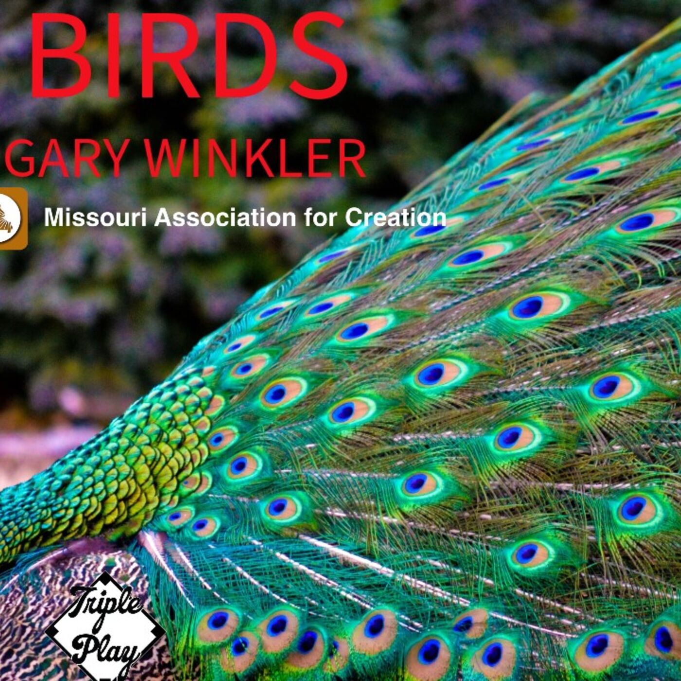 GARY WINKLER BIRDS