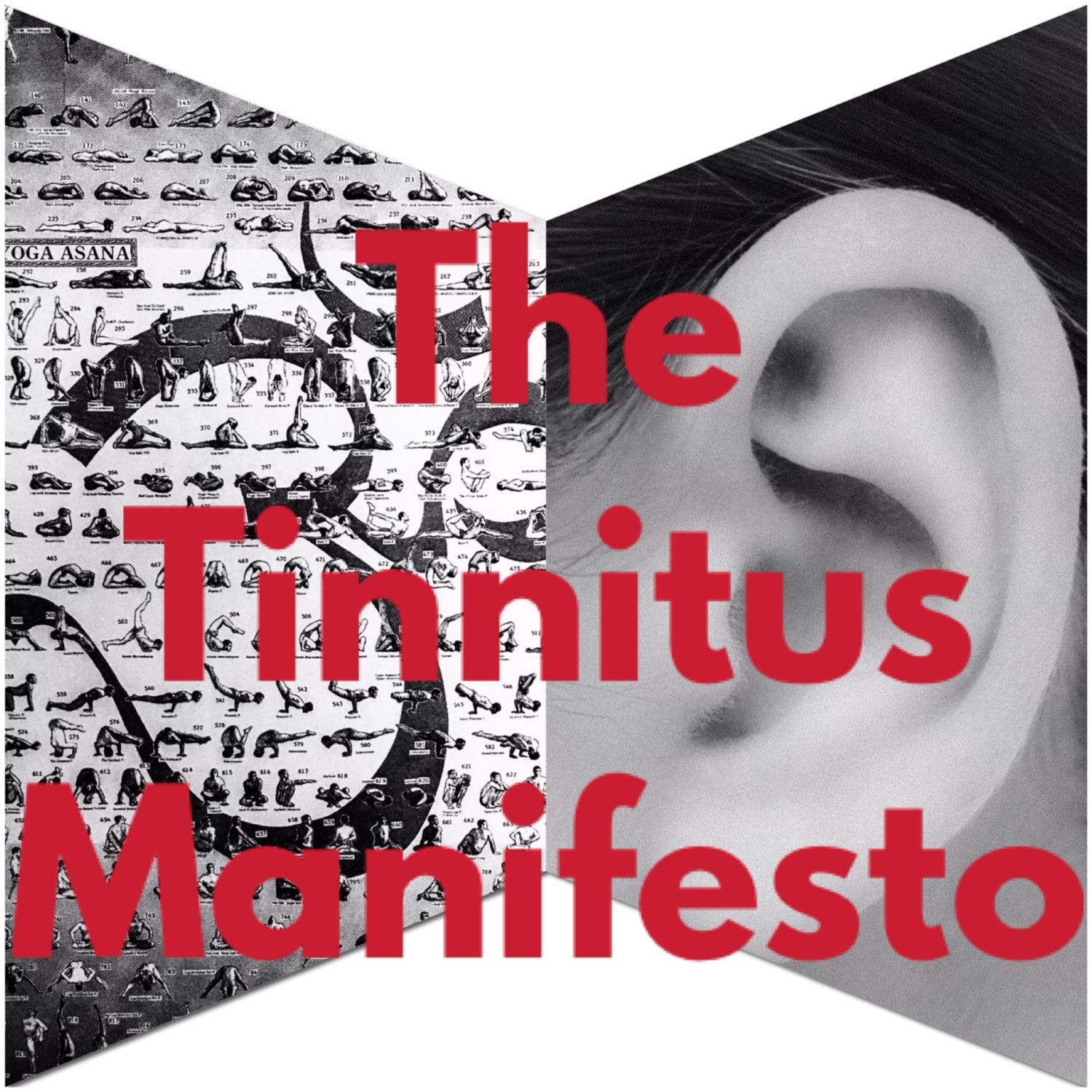 The Tinnitus Manifesto Podcast 