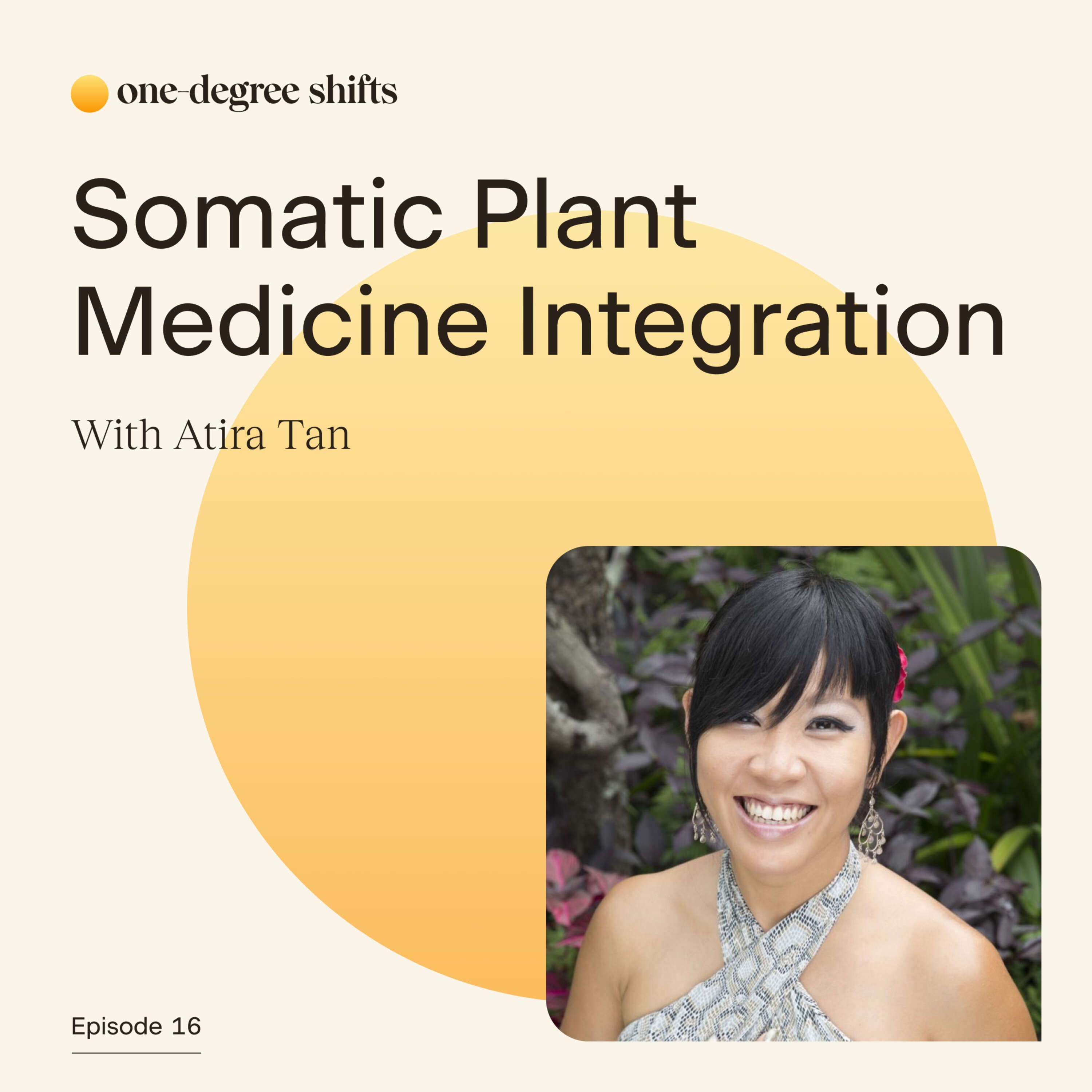 16: Somatic Plant Medicine Integration