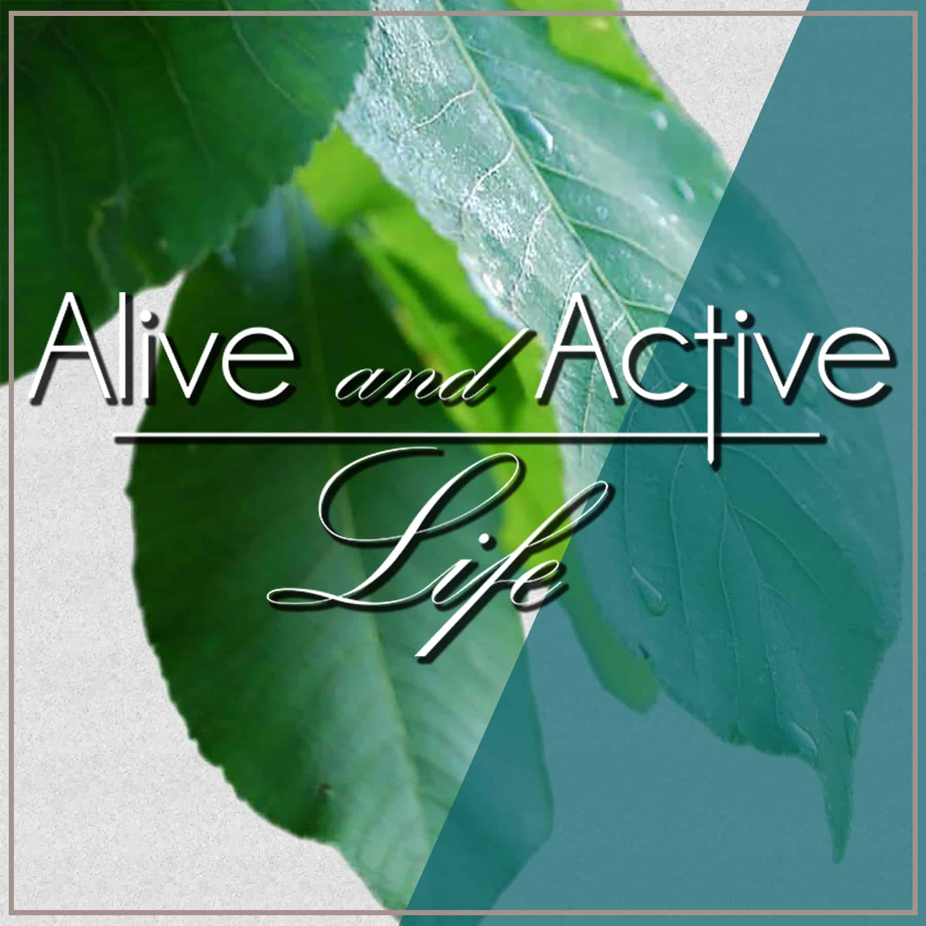 Alive and Active Life 