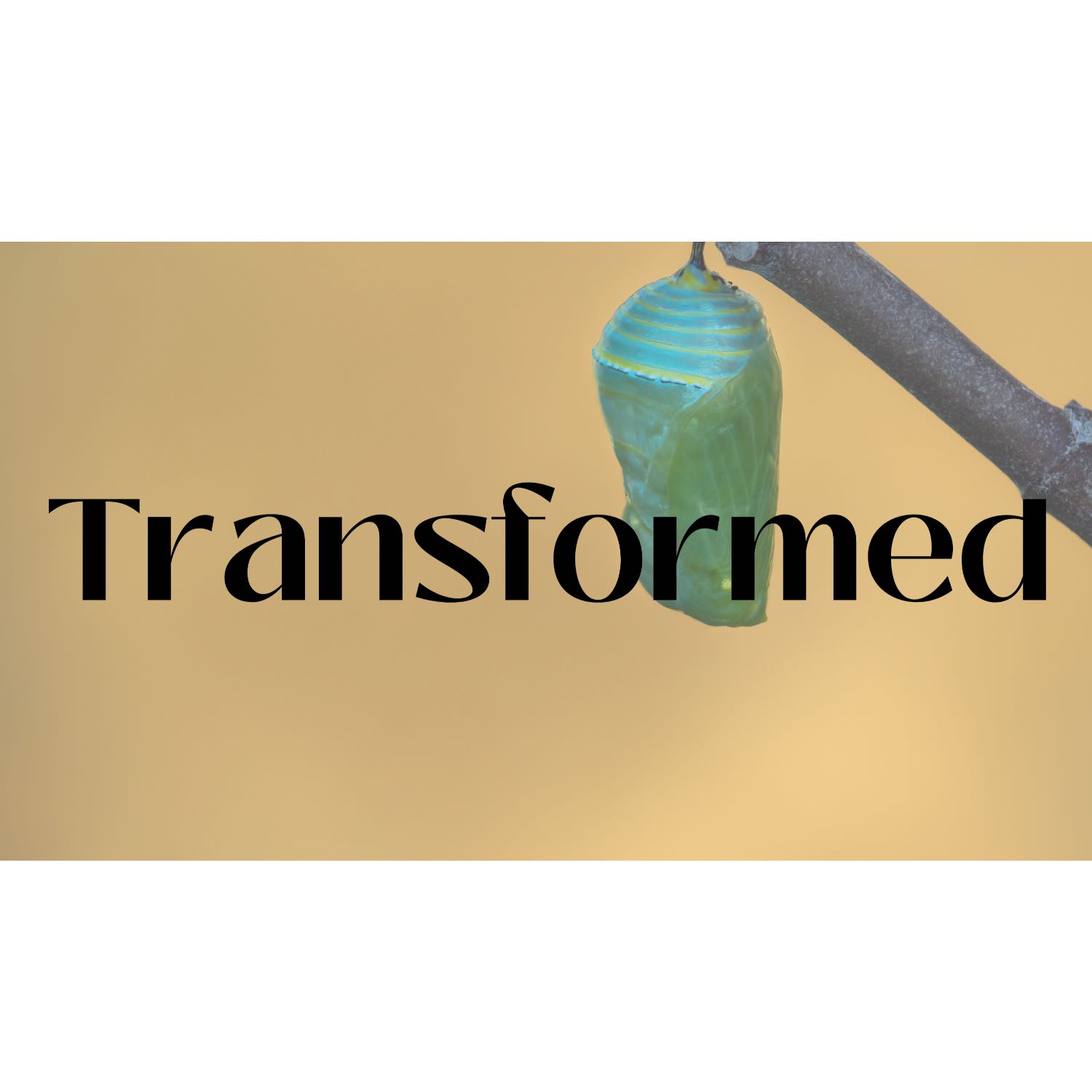 Transformed Sunday September 3, 2023