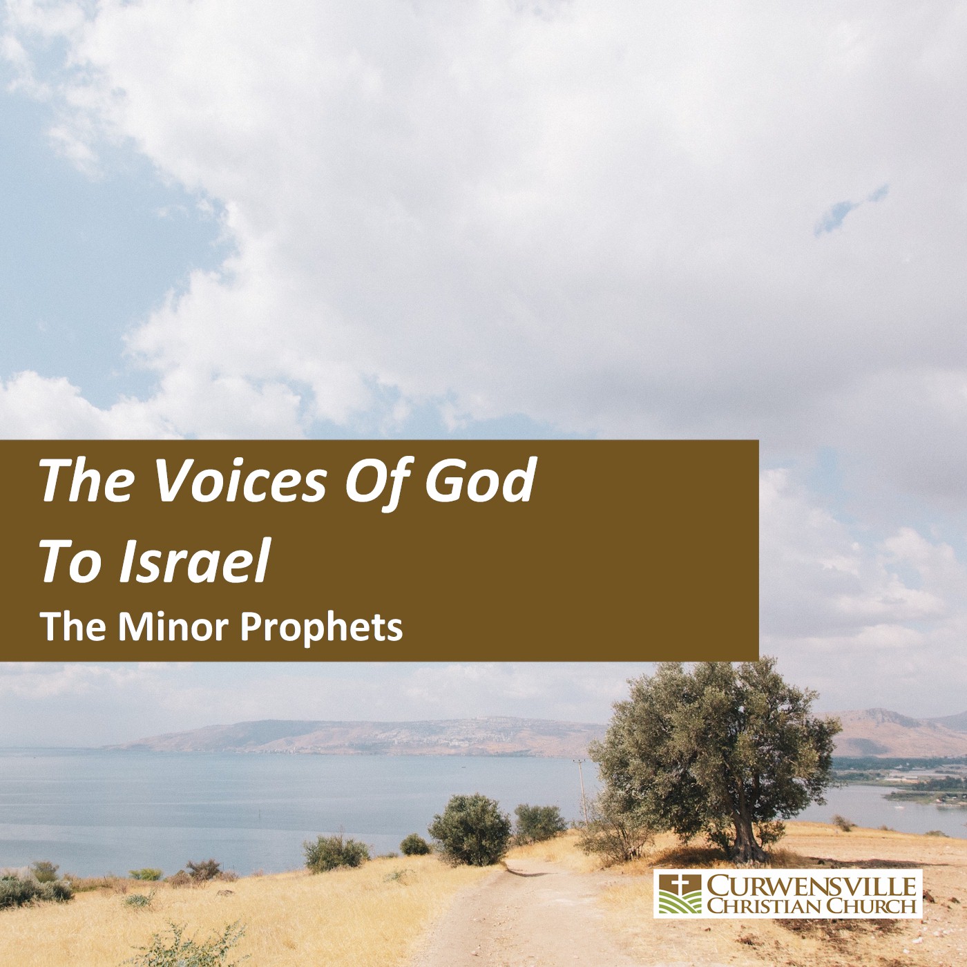 The Voices of God to Israel - A Study in the Minor Prophets 