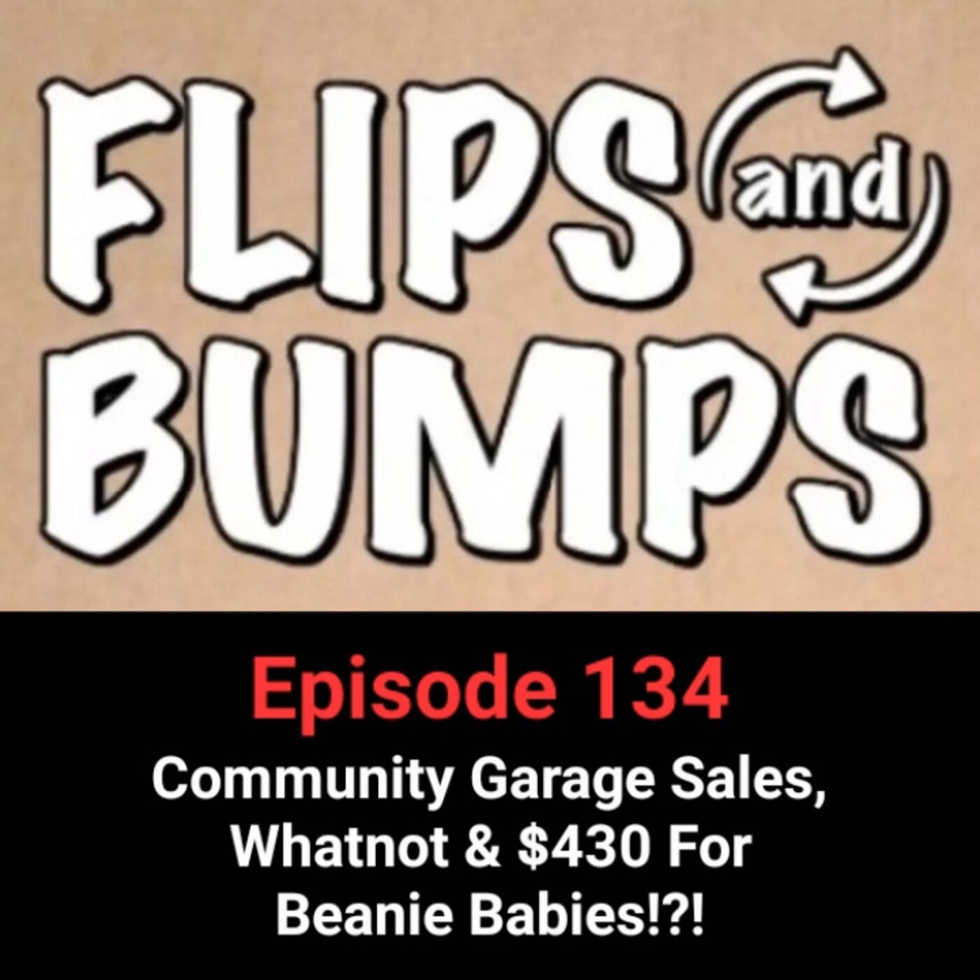 ⁣Ep 134 - Community Garage Sales, Whatnot & $430 For Beanie Babies!?!