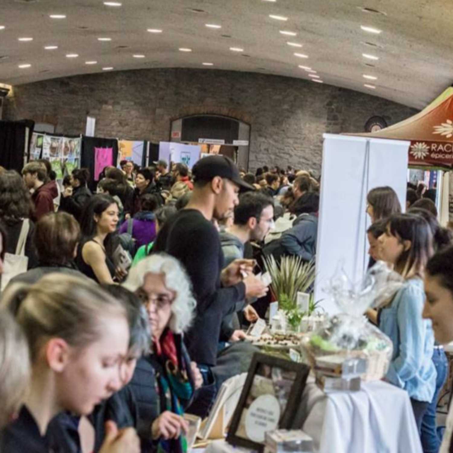 ⁣The Making of the Vegan Festival of Montreal. With Louis-Alexandre Gagnon | Ep. 11