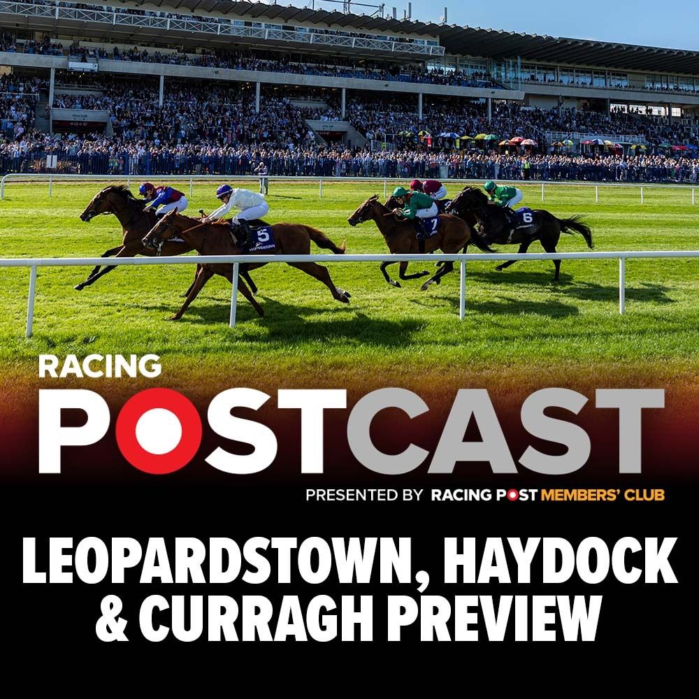 Leopardstown, Haydock & Curragh Preview | Horse Racing Tips | Racing Postcast