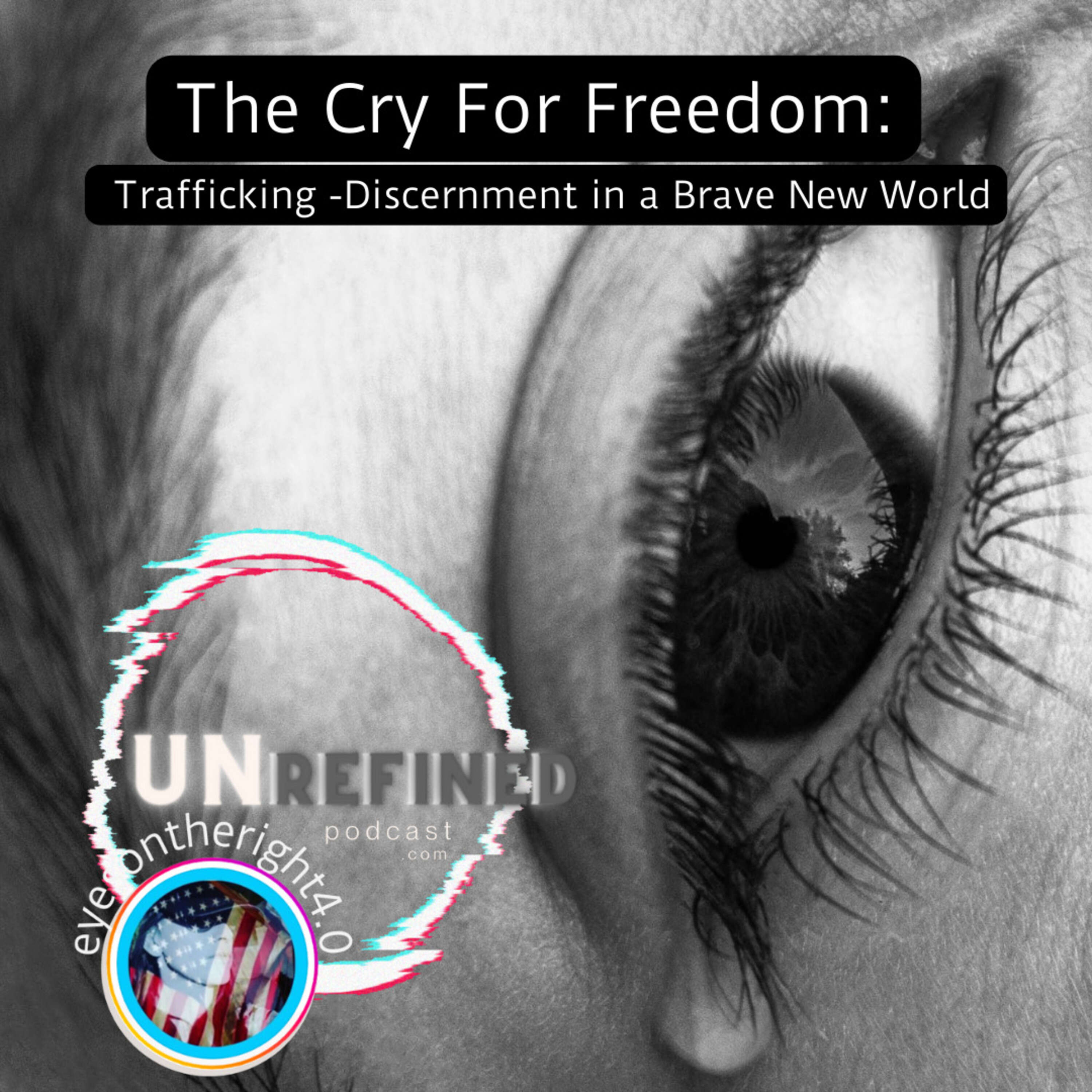 ⁣Episode 50- The Cry For Freedom: Trafficking -Discernment in a Brave New World