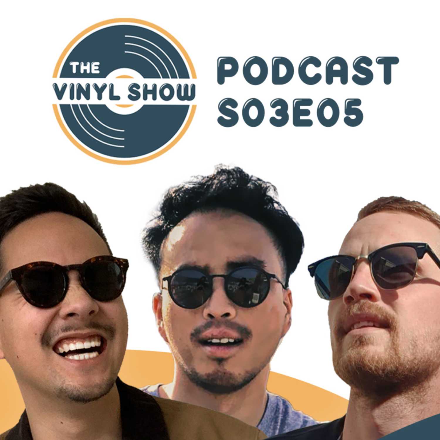 The Vinyl Show Podcast S03E05 - Apparatuur