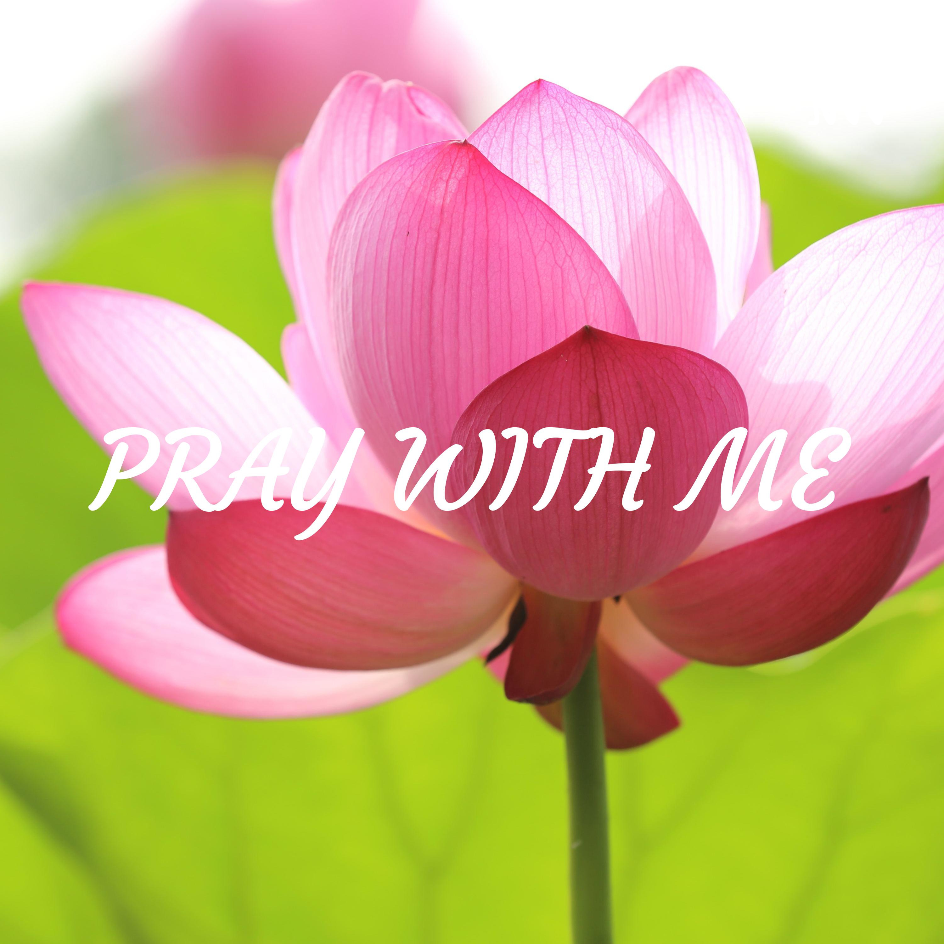 Safety And Hope
