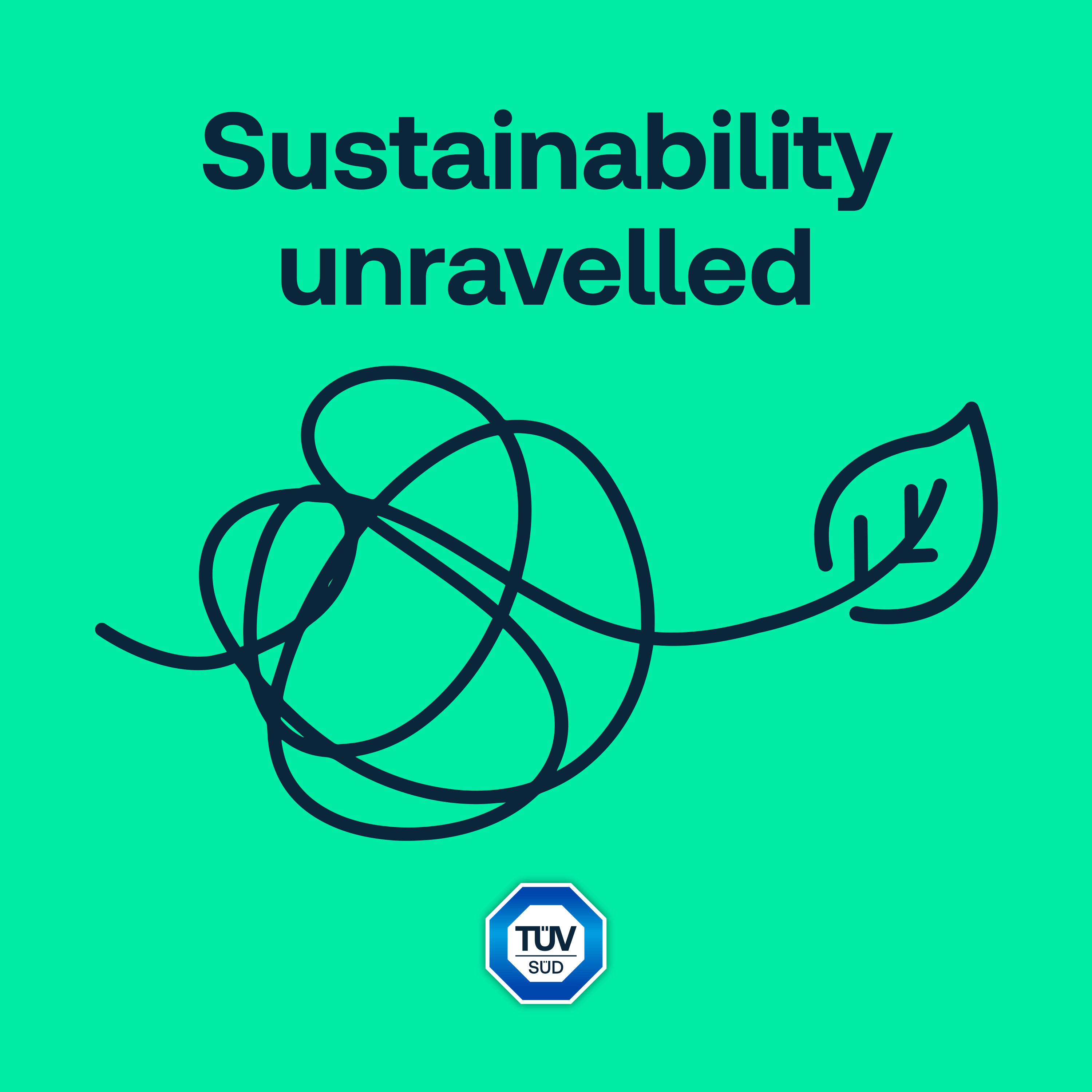 Sustainability unravelled 