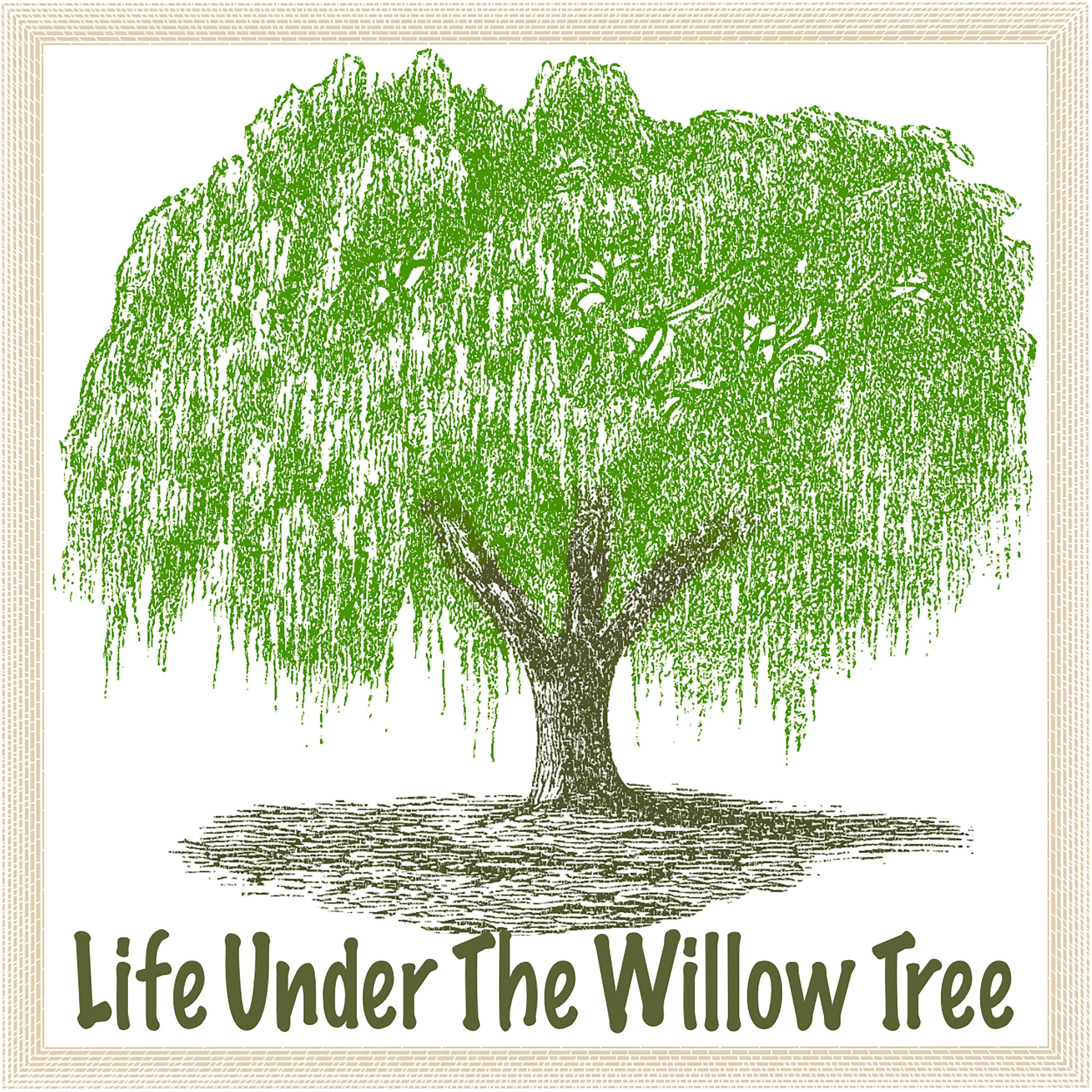 Life Under The Willow Tree 