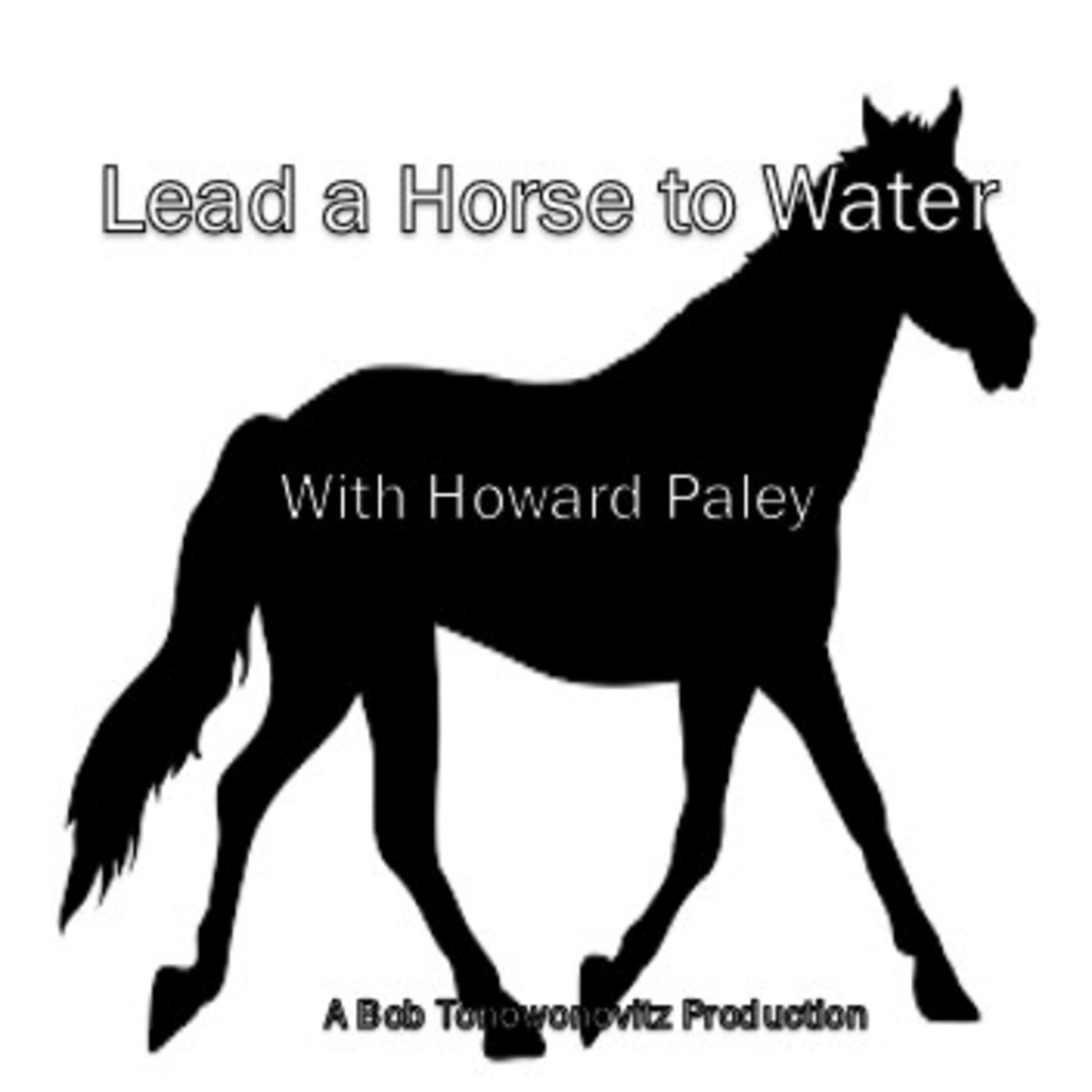 Lead a Horse to Water 