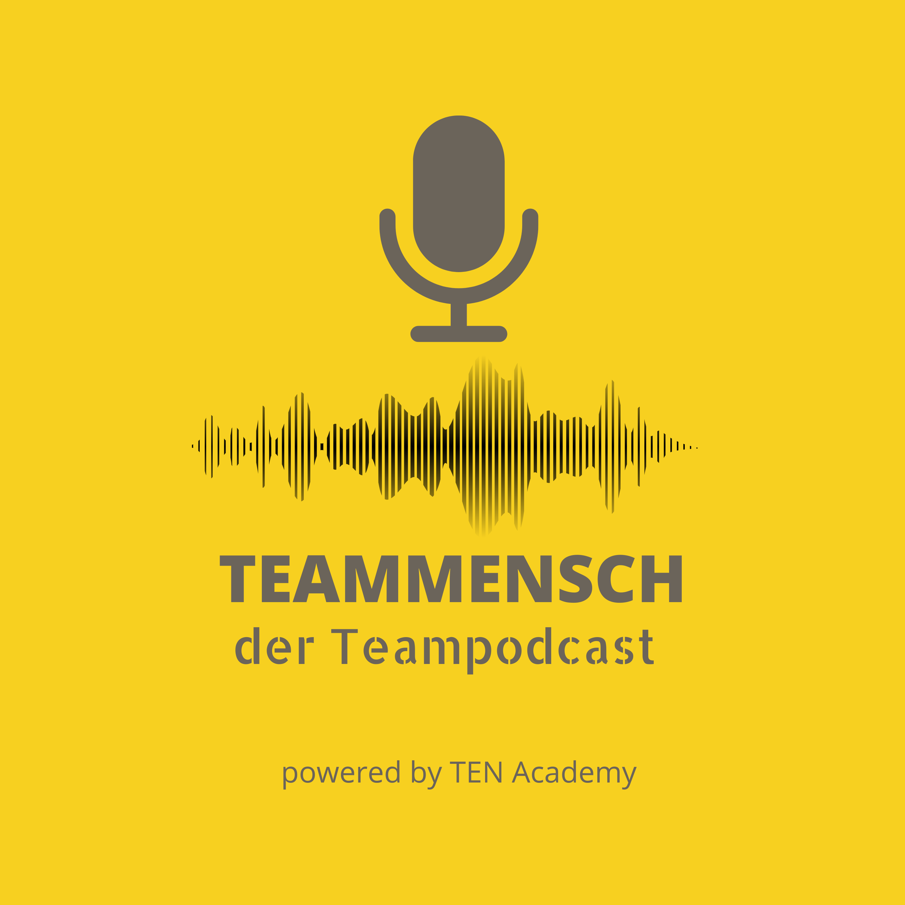 Teammensch- Teamtraining mit Erfolg 