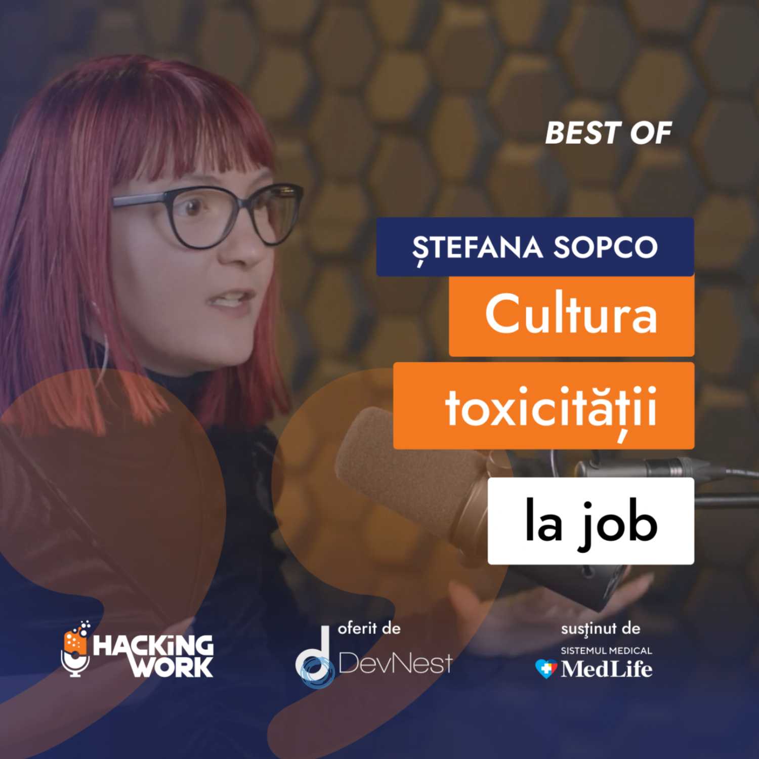 ⁣Ștefana Sopco: Cultura toxicității la job este cel mai grav lucru în România | Best of Hacking Work