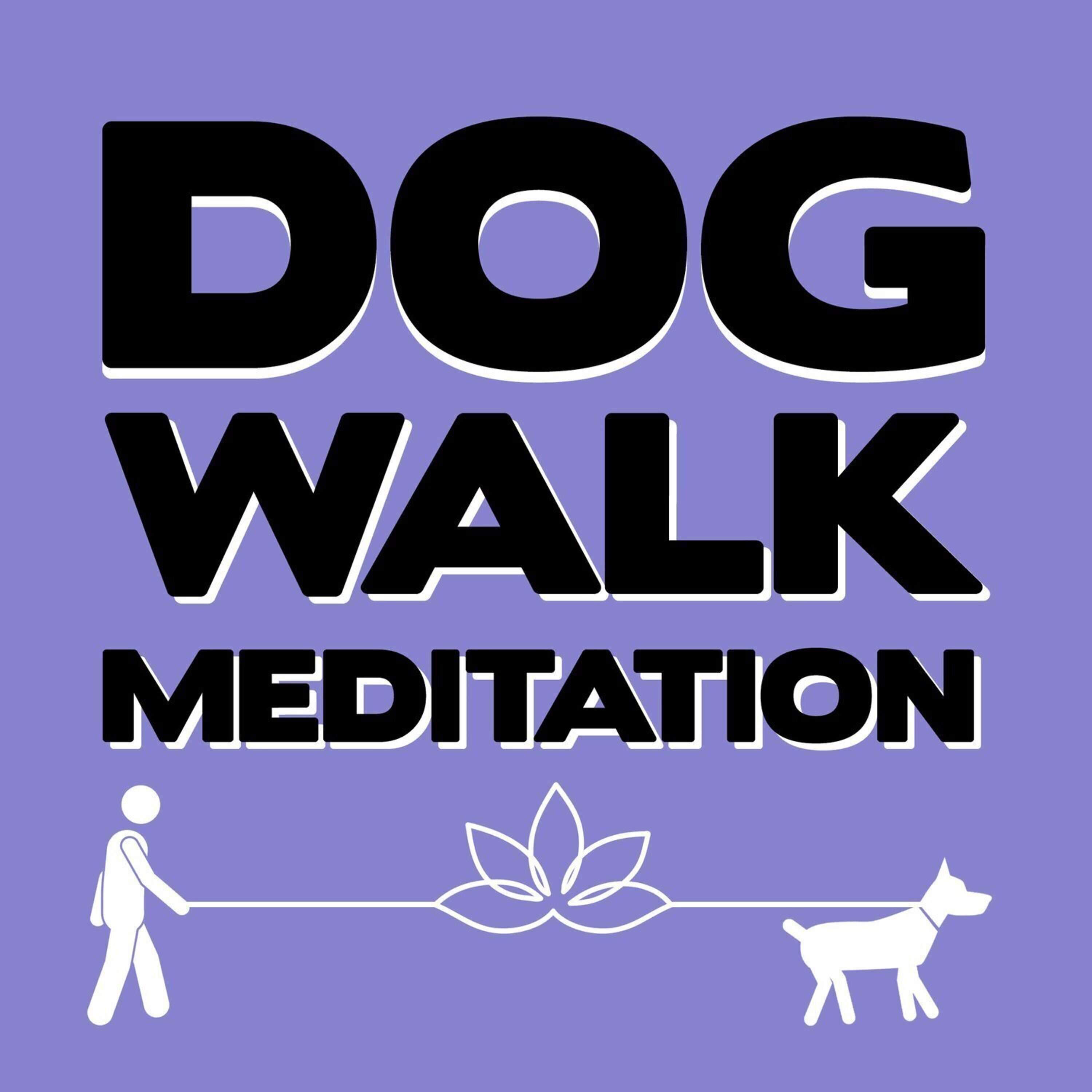 Dog Walk Meditation 