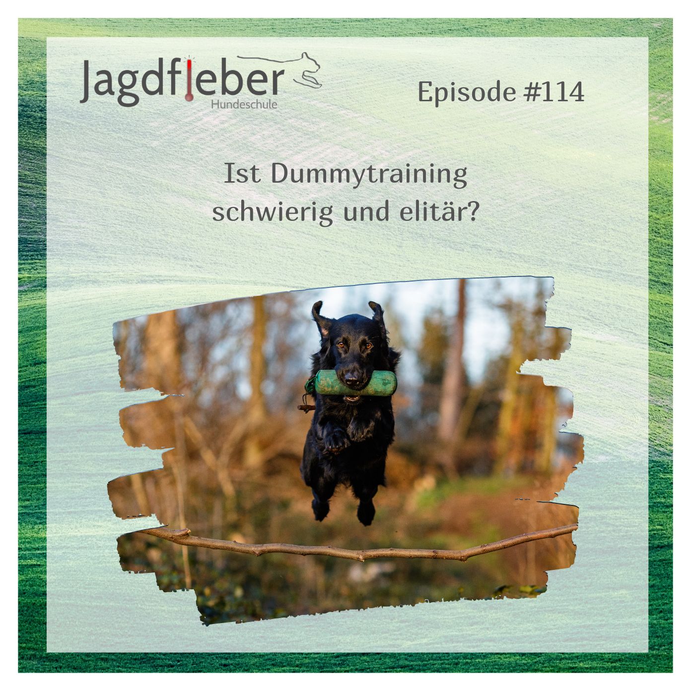 P114: Ist Dummytraining schwierig und elitär?