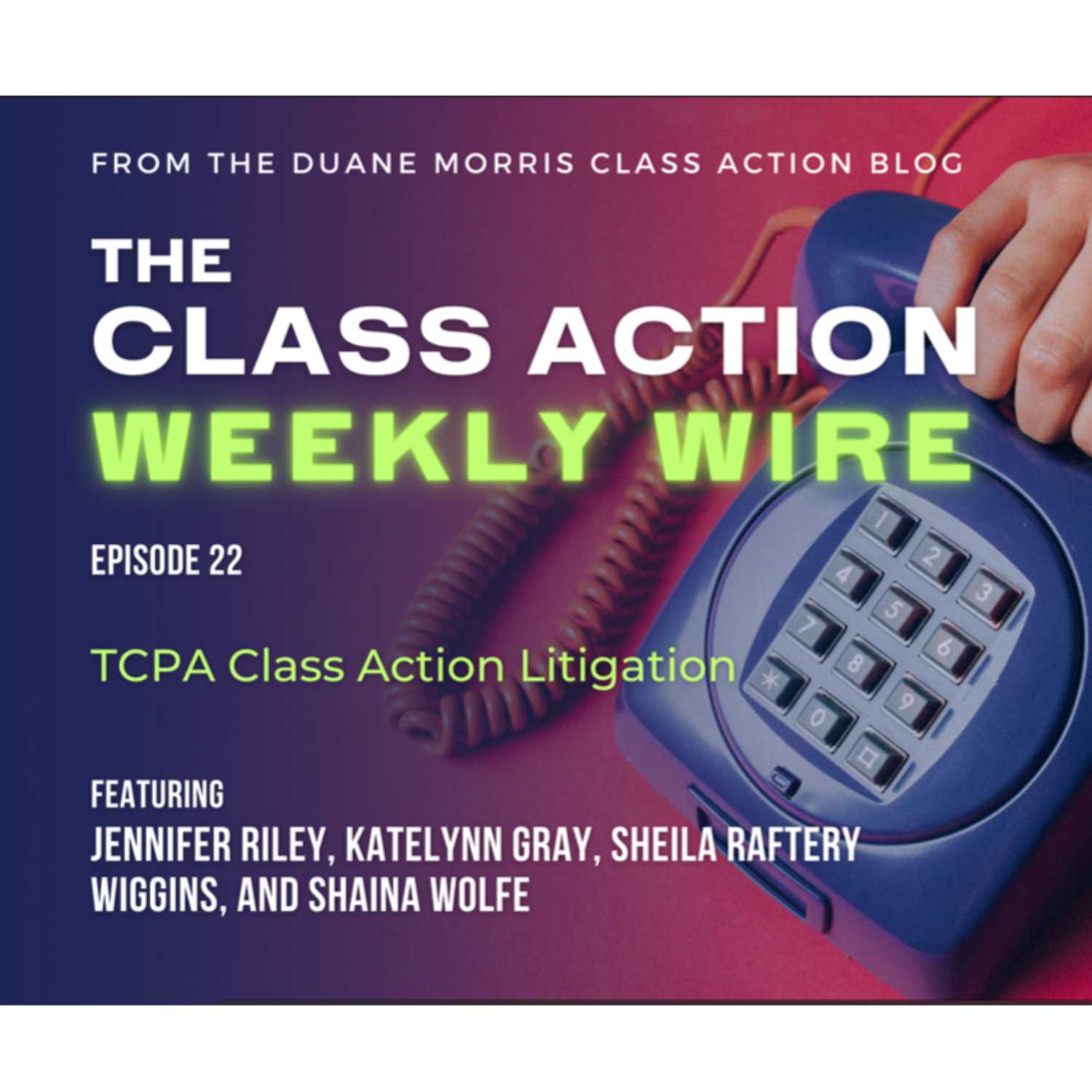 Episode 22: TCPA Class Action Litigation