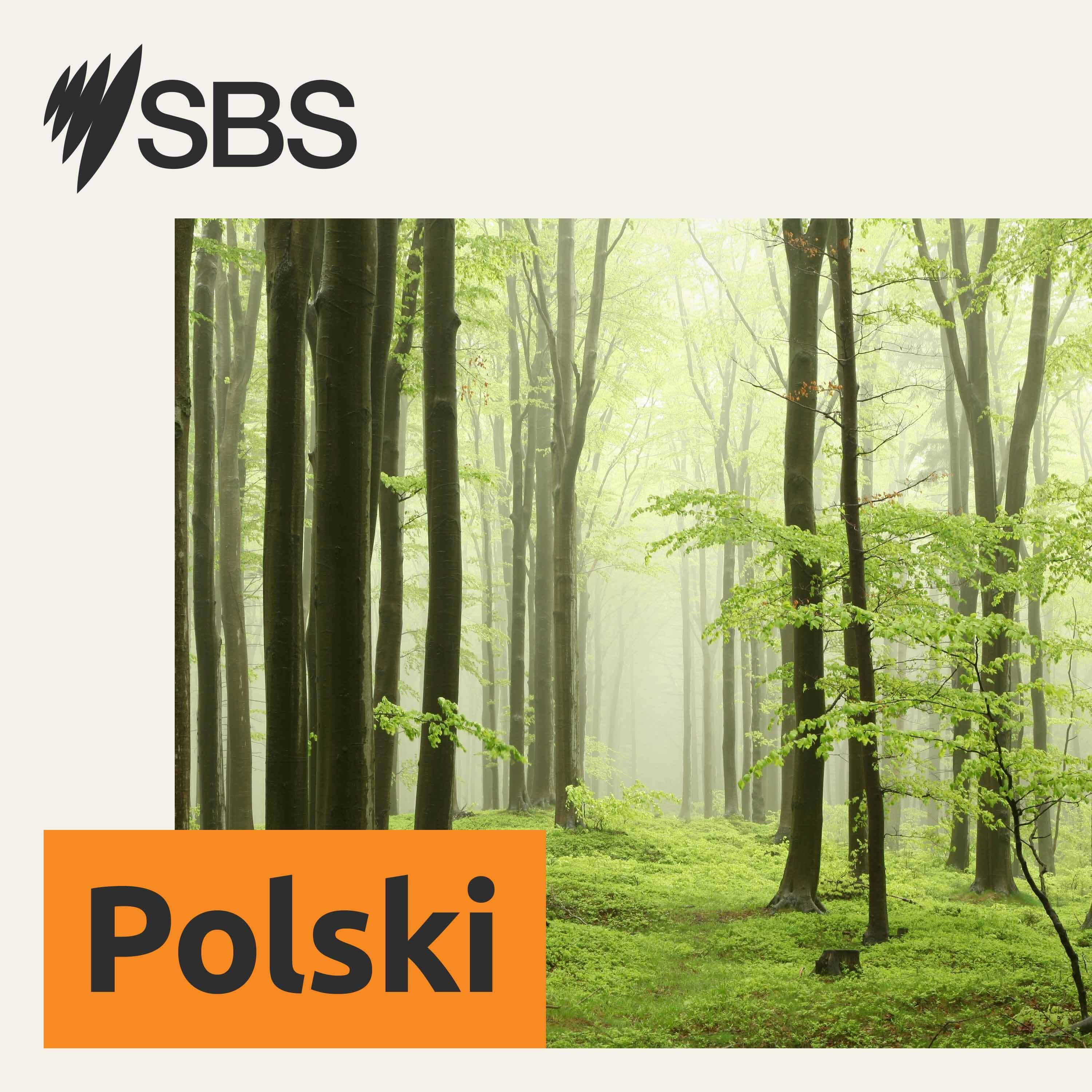 SBS Polish - SBS po polsku 