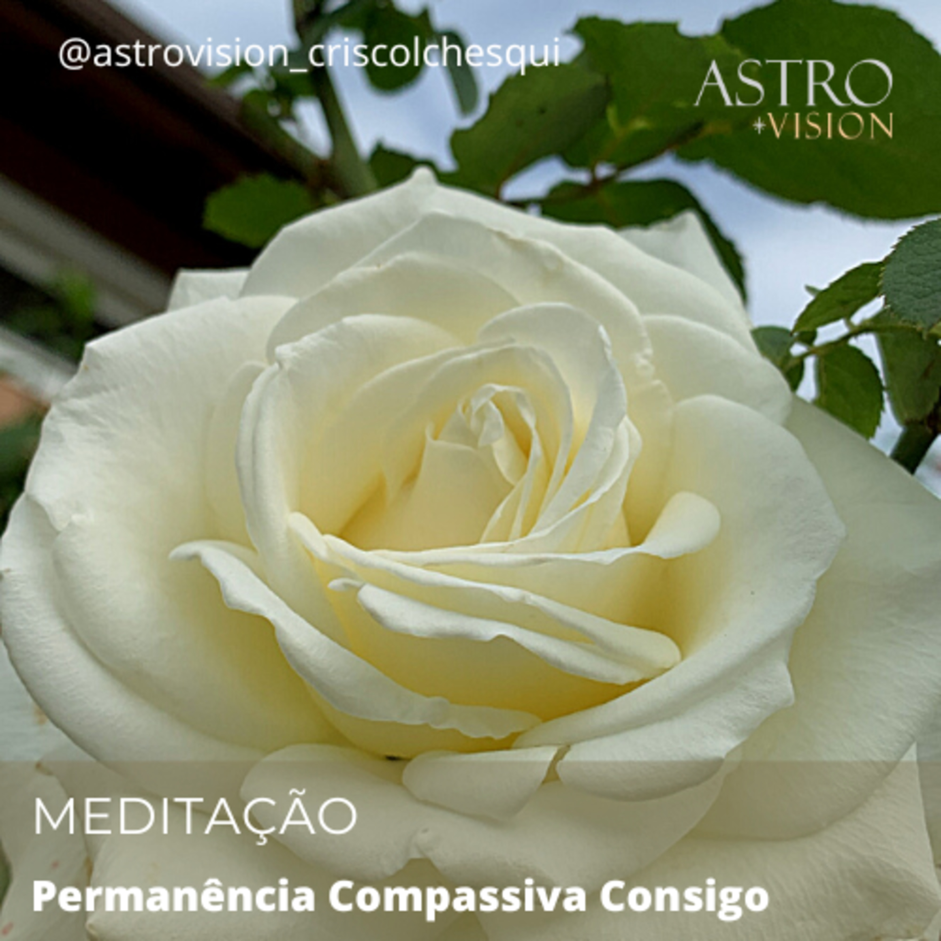 ⁣Meditação - Permanência Compassiva Consigo