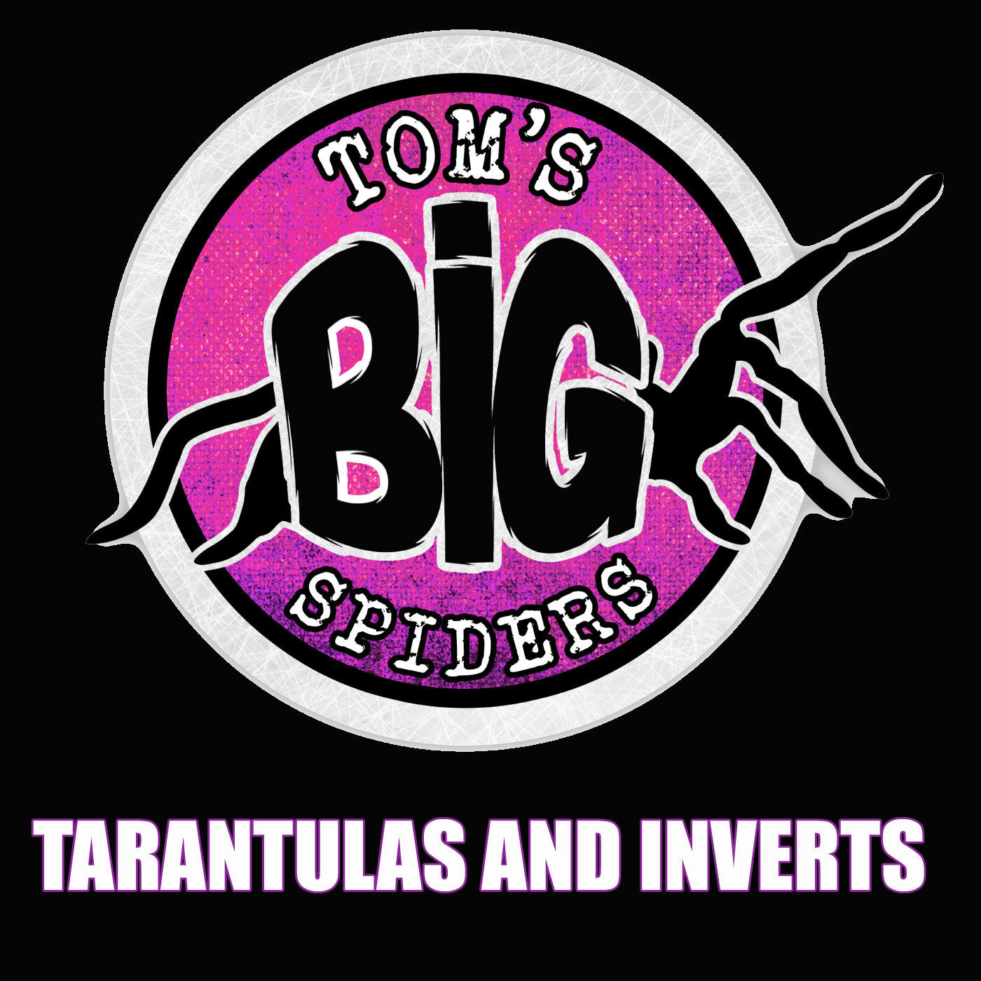 Tom's Big Spiders - Tarantulas and Inverts 