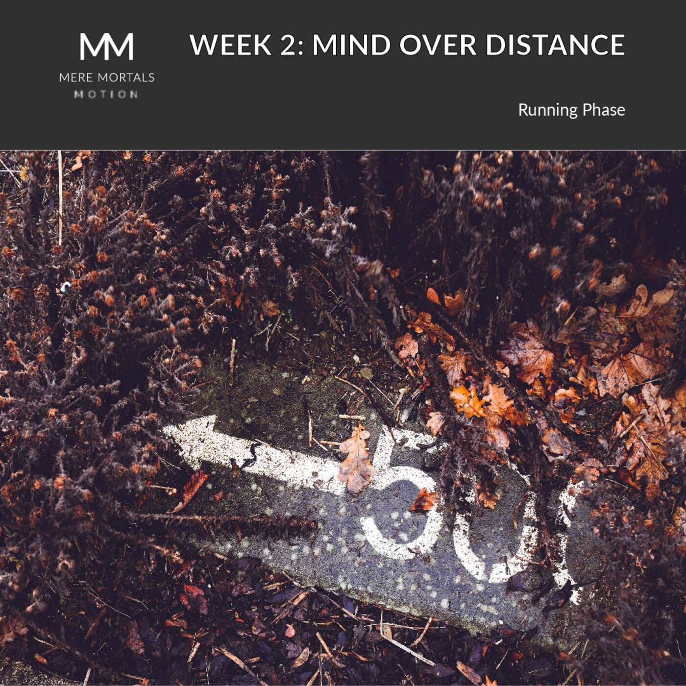 ⁣Week 2 Run Down: Mind Over Distance & Sneaker Secrets | Mere Mortals in Motion #3