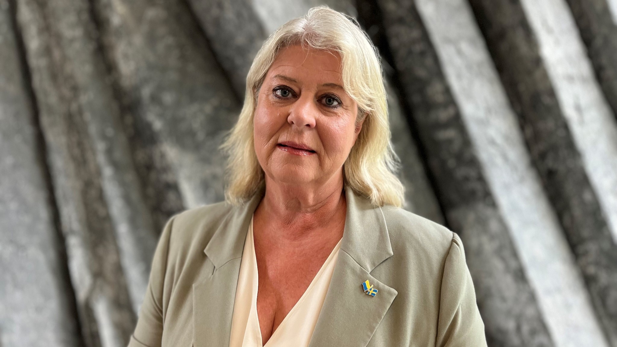 ⁣Socialtjänstminister Camilla Waltersson Grönvall (M): Så vill vi hindra att barn rekryteras av gängen