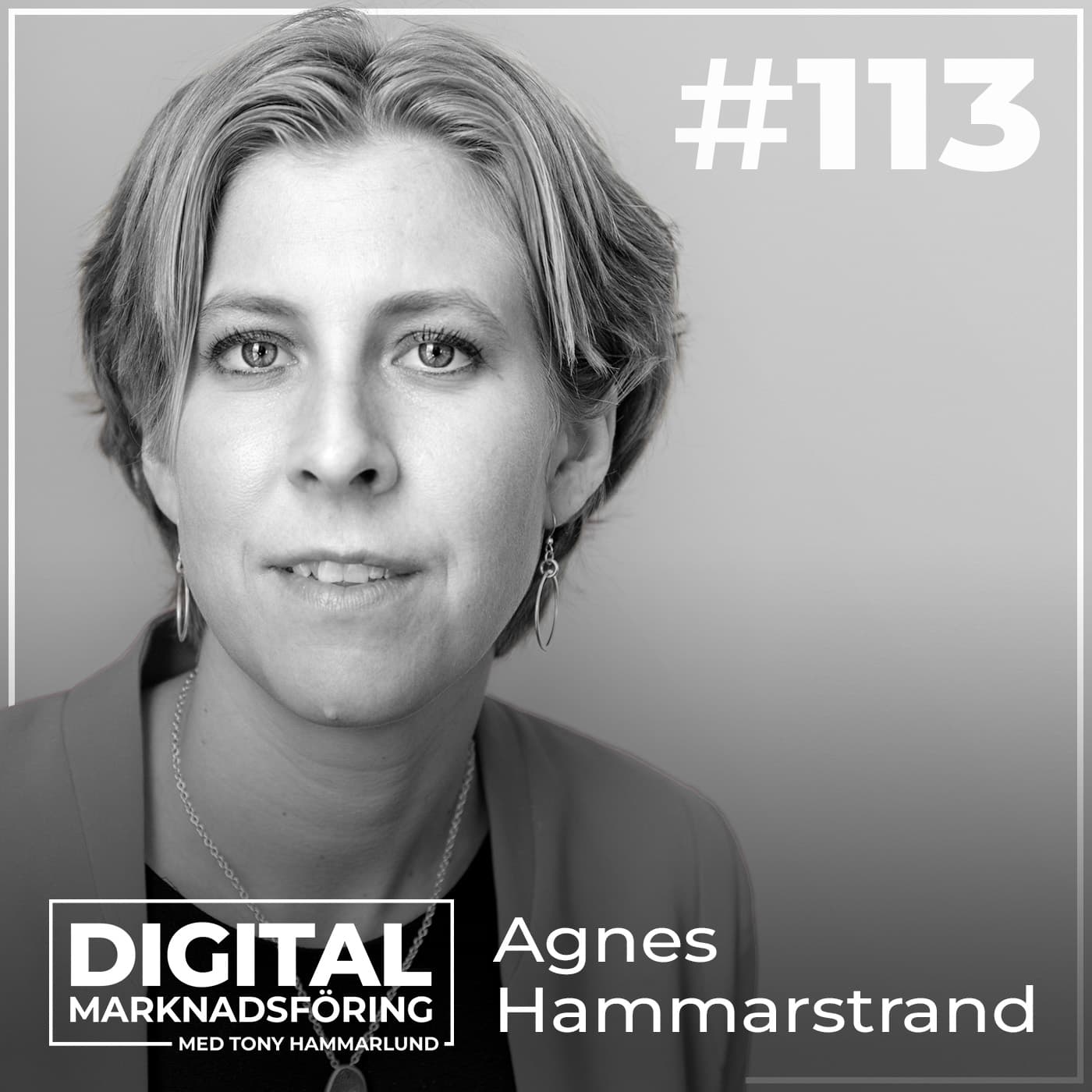 ⁣IMY-granskning, Data Privacy Framework och cookies – Agnes Hammarstrand #113