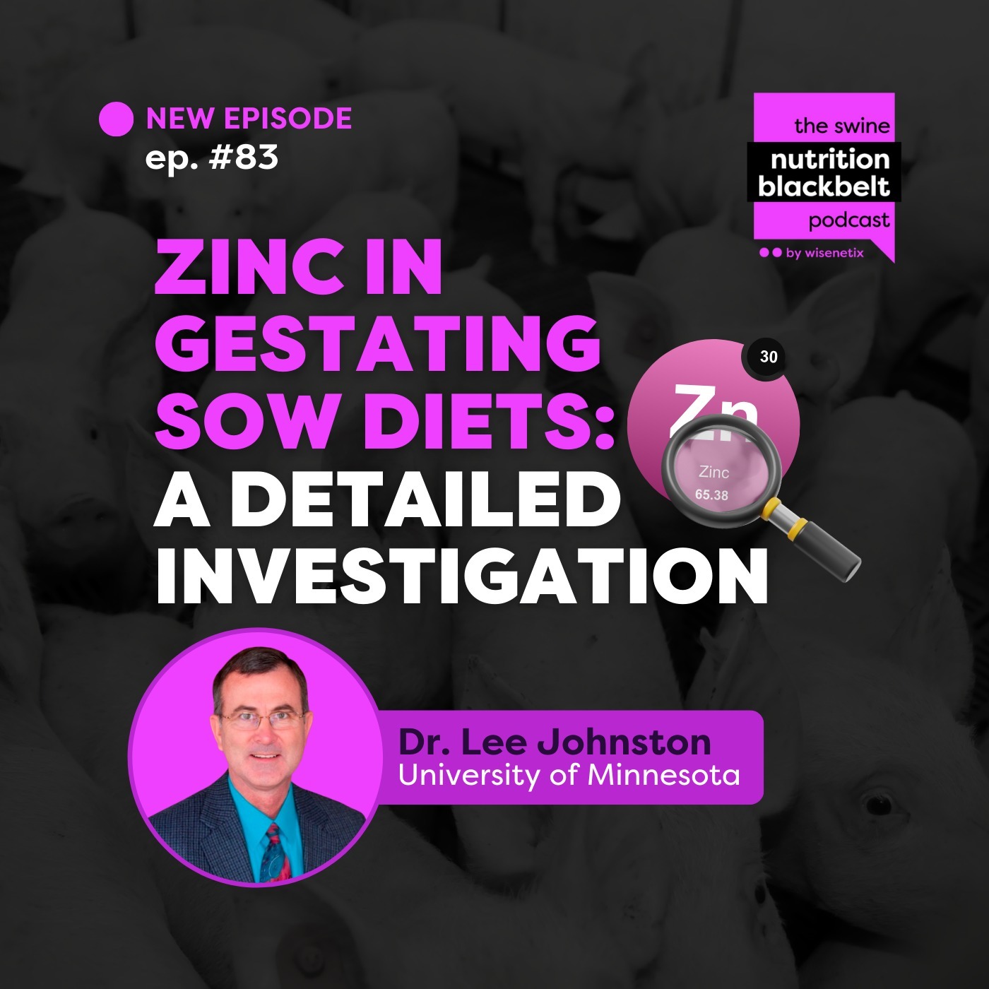 ⁣#83 - Zinc in Gestating Sow Diets: A Detailed investigation - Dr. Lee Johnston