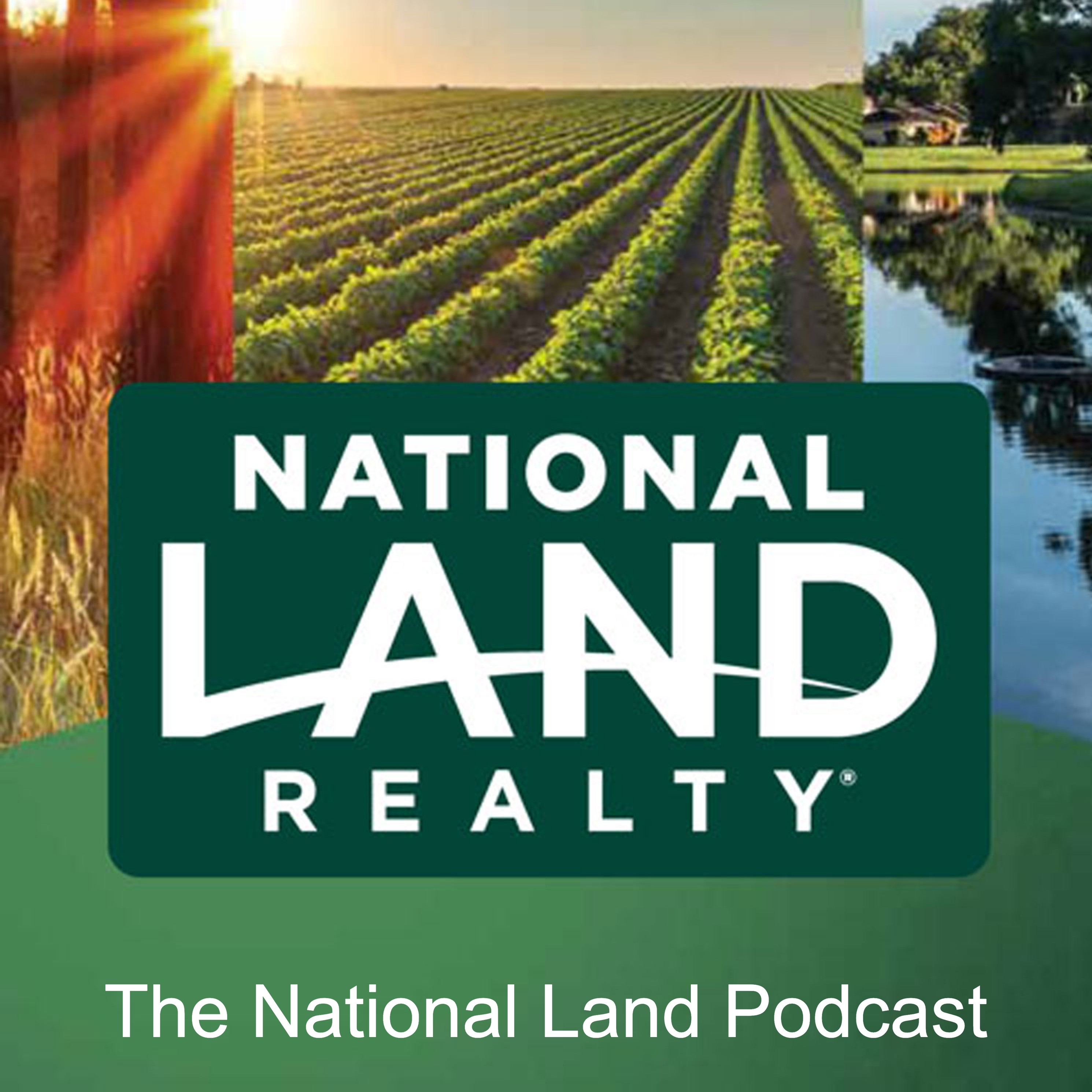 ⁣Land vs residential real estate, with Wayne Dunson