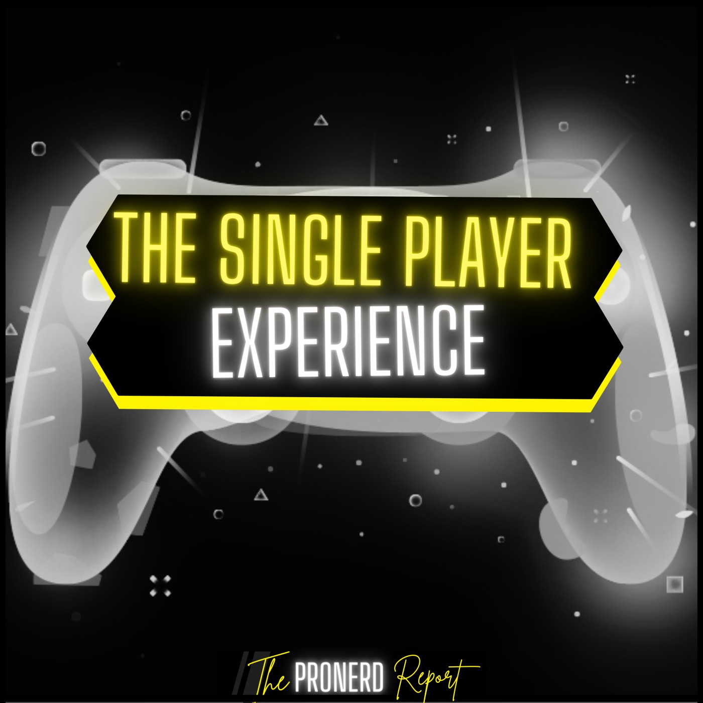 The Single Player Experience 