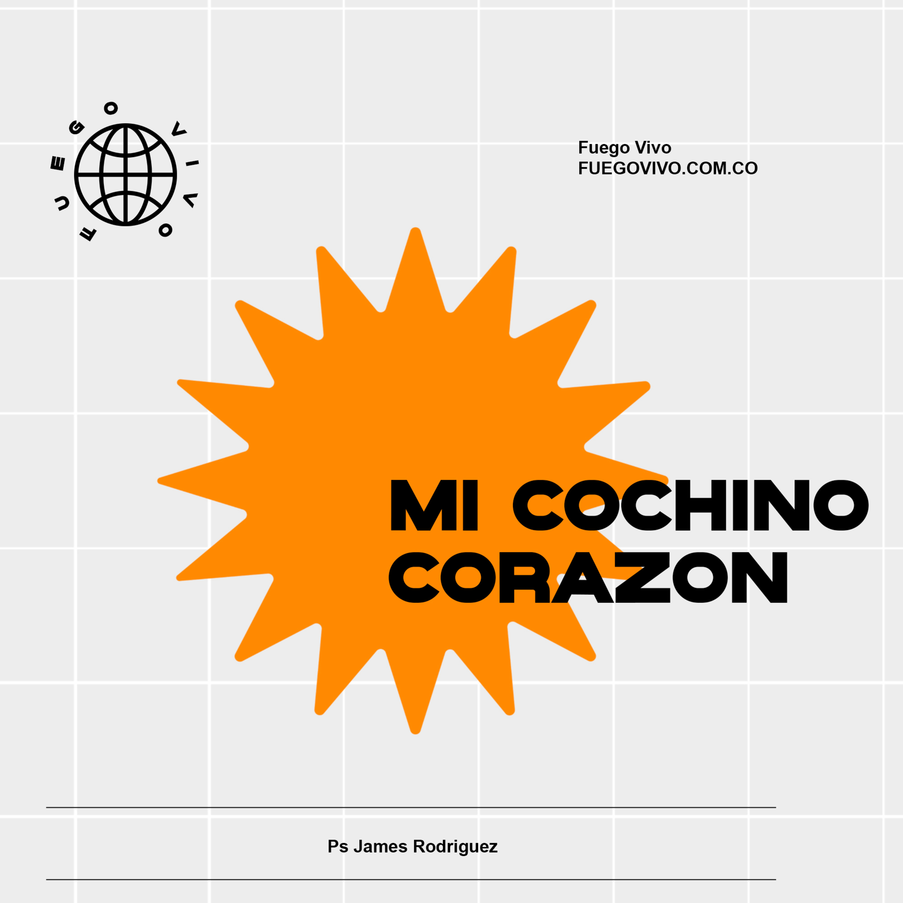 ⁣Fuego Vivo | Mi cochino corazón