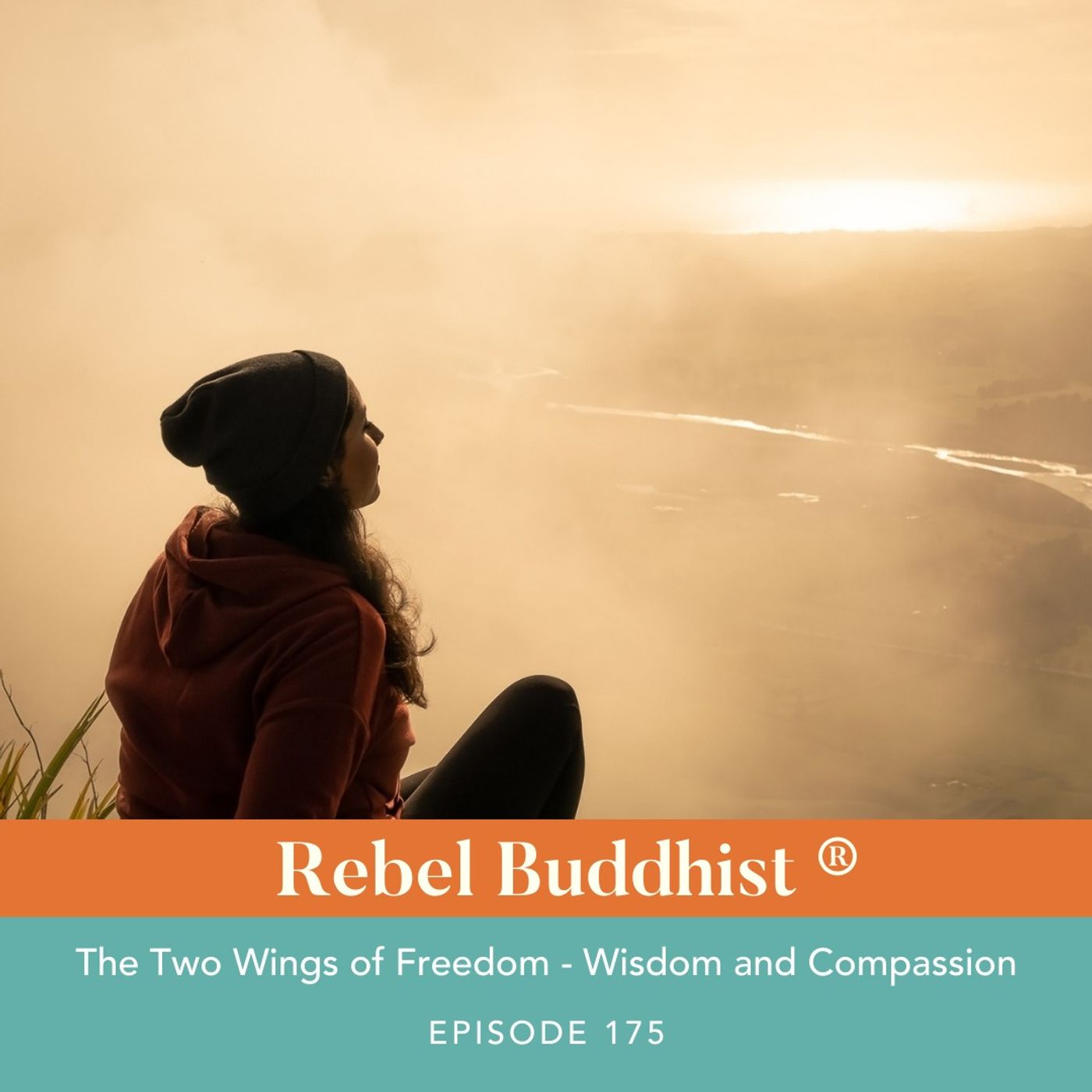 The Two Wings of Freedom - Wisdom and Compassion