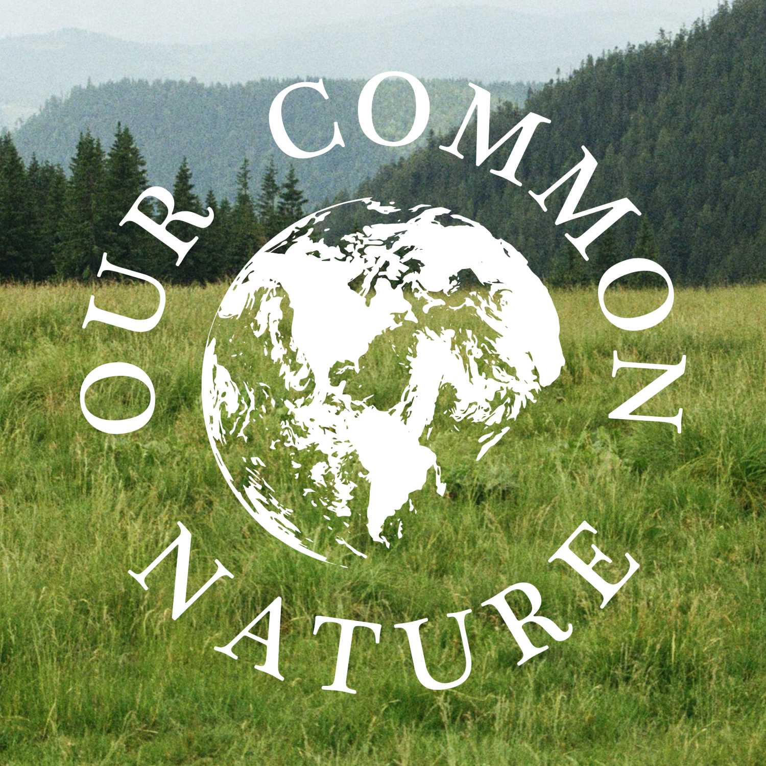 Our Common Nature 