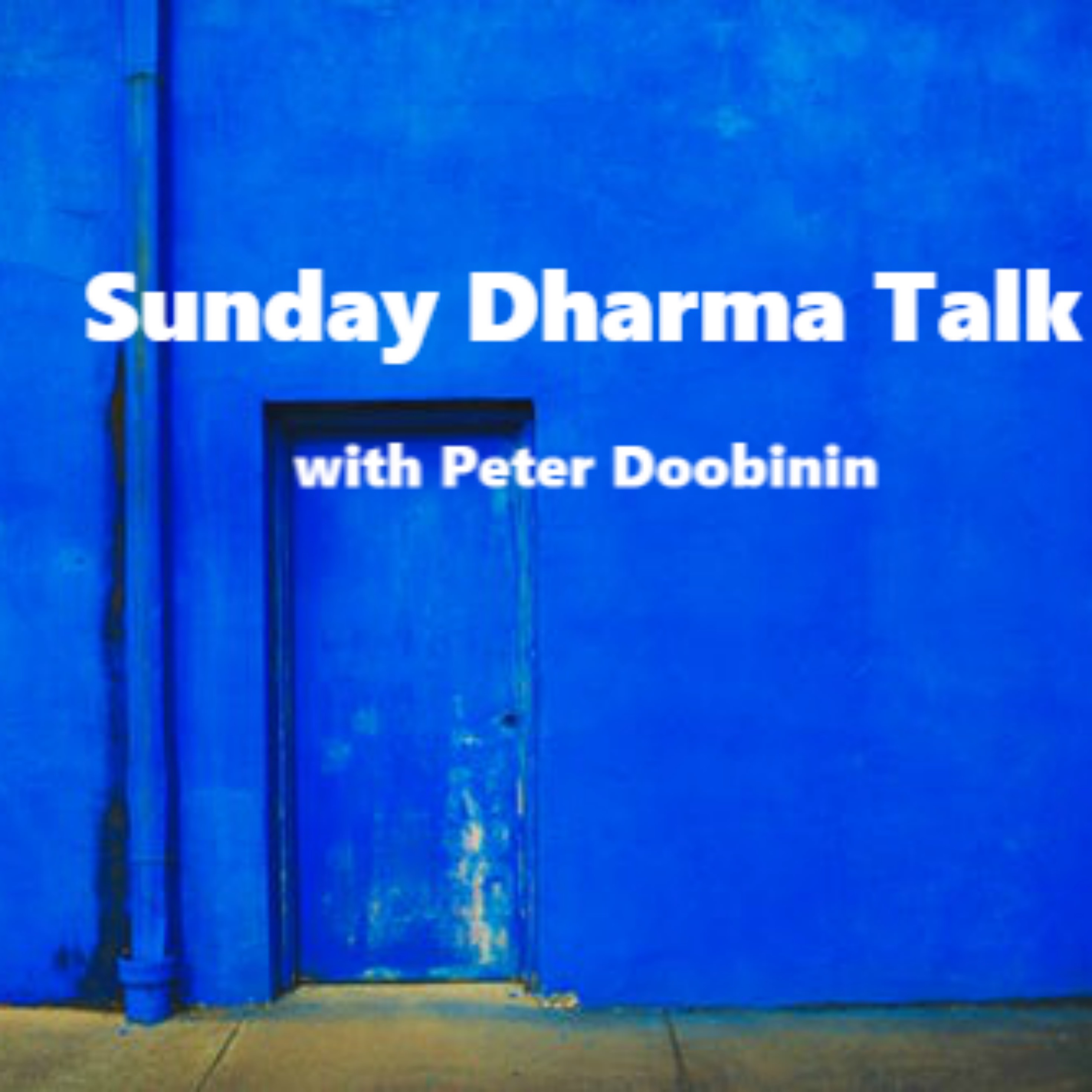 Sunday Dharma Talk 