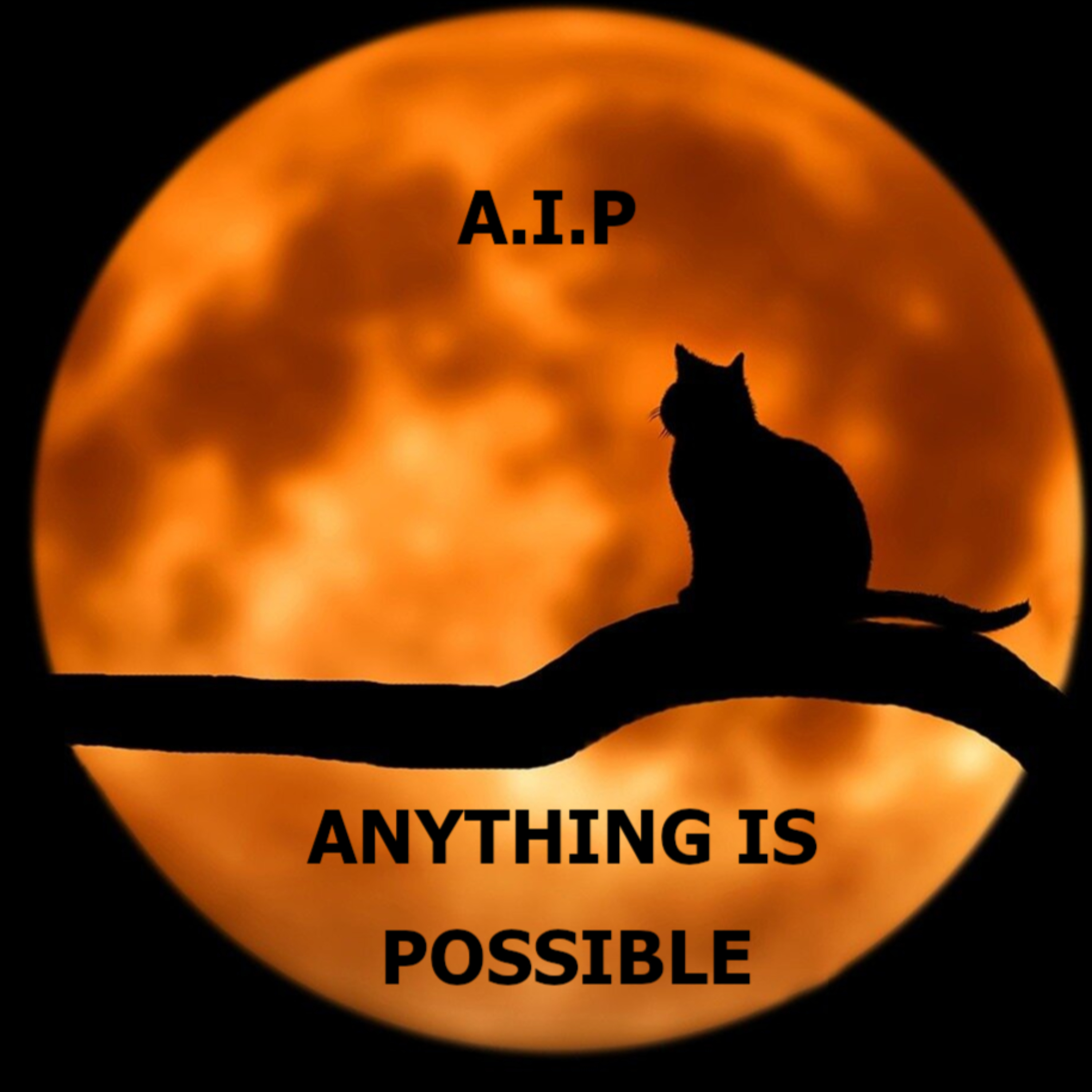 A.I.P (ANYTHING IS POSSIBLE) 