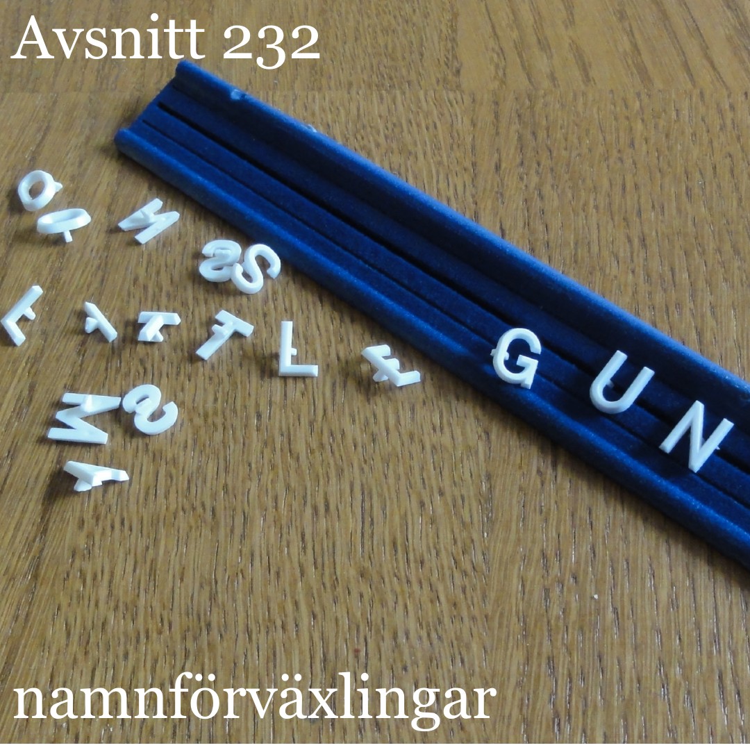 Avsnitt 232 – namnförväxling