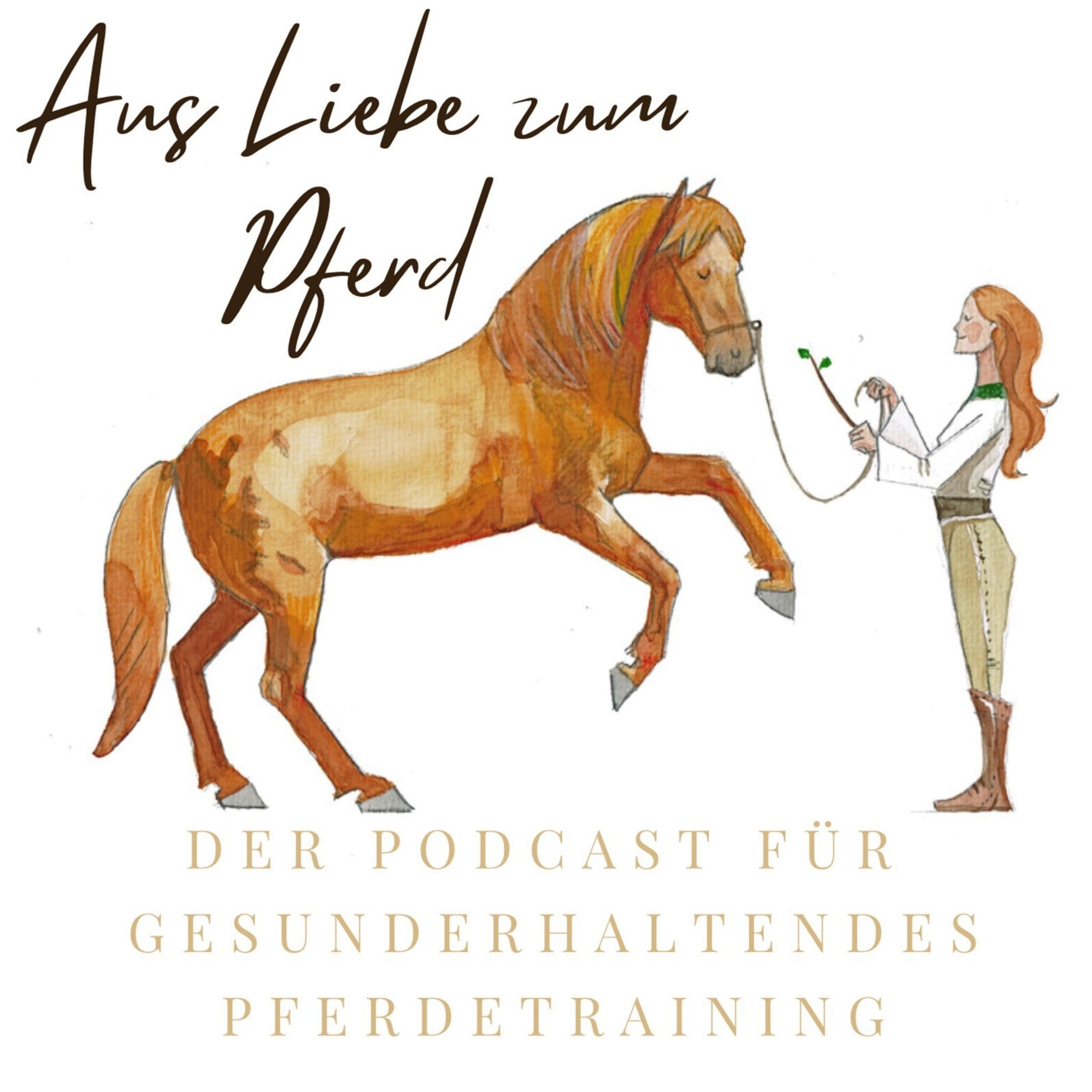 Aus Liebe zum Pferd 