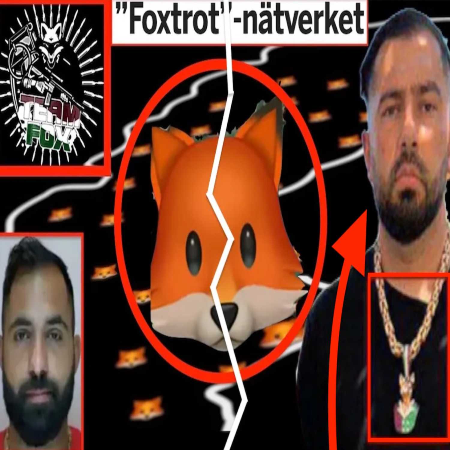 ⁣KURDISKA RÄVEN (Foxtrot Kriget, Skogås Mordet & Sundsvall Konflikten)