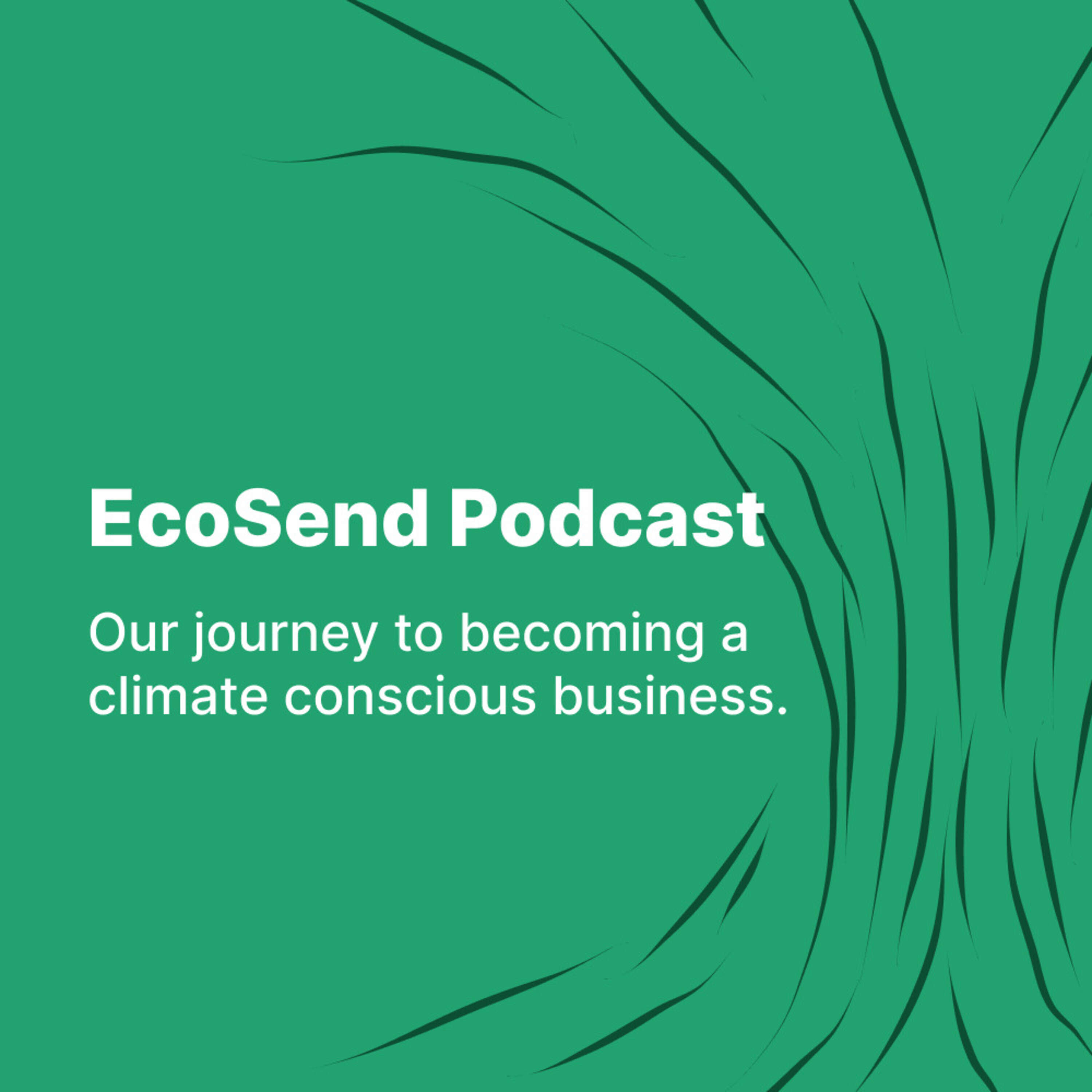 The EcoSend Podcast 